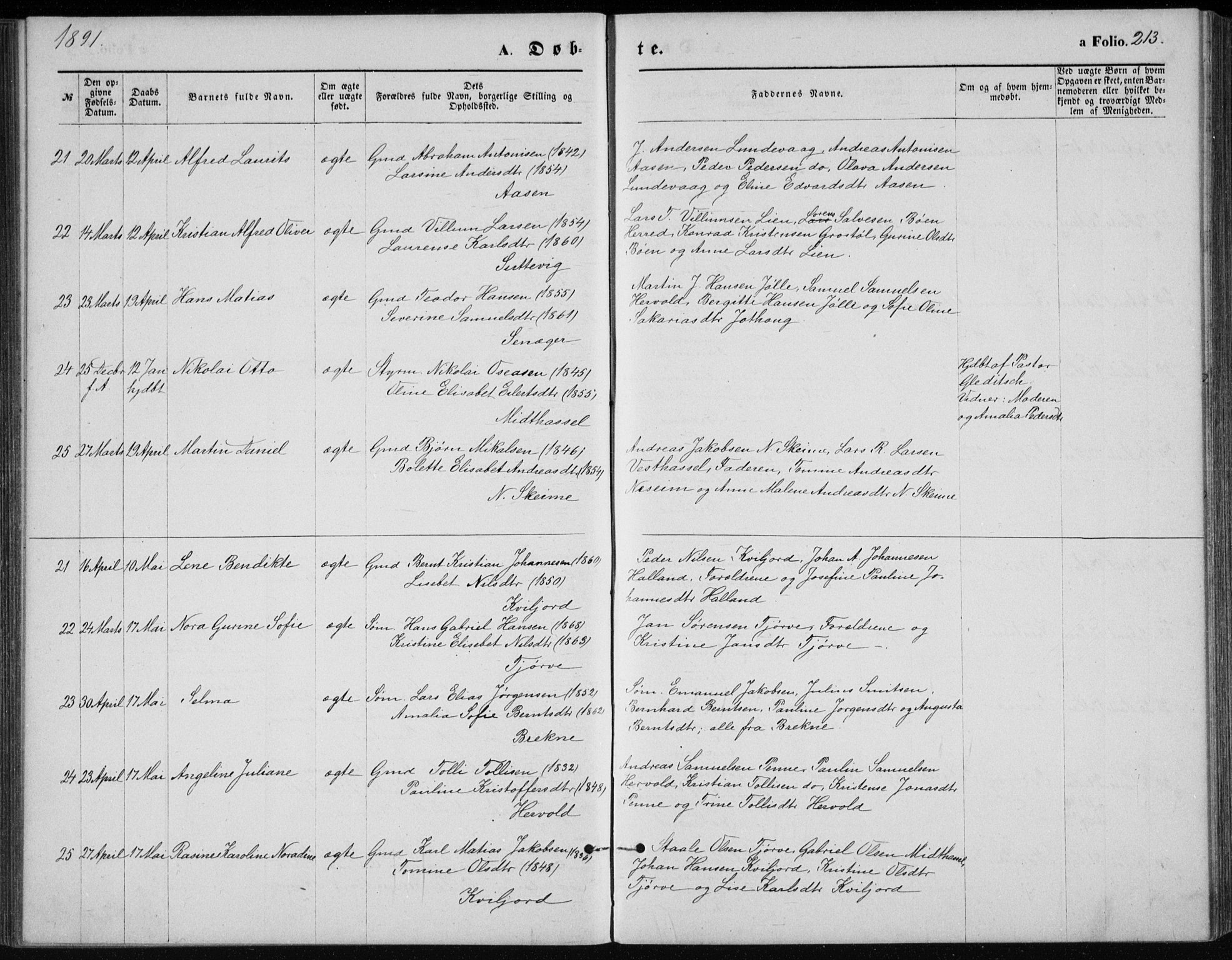 Lista sokneprestkontor, AV/SAK-1111-0027/F/Fb/L0004: Parish register (copy) no. B 4, 1877-1891, p. 213