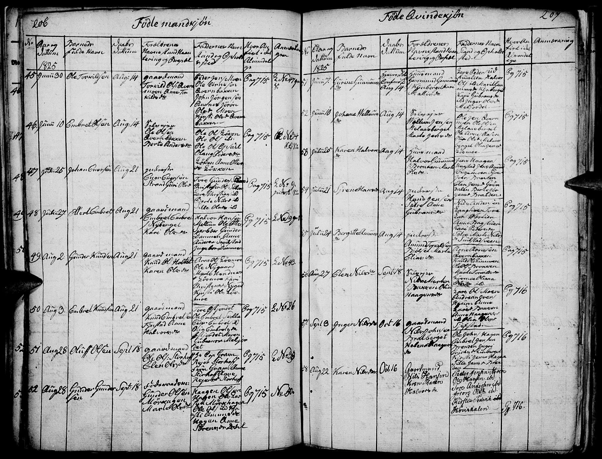 Elverum prestekontor, AV/SAH-PREST-044/H/Ha/Haa/L0007: Parish register (official) no. 7, 1815-1830, p. 206-207