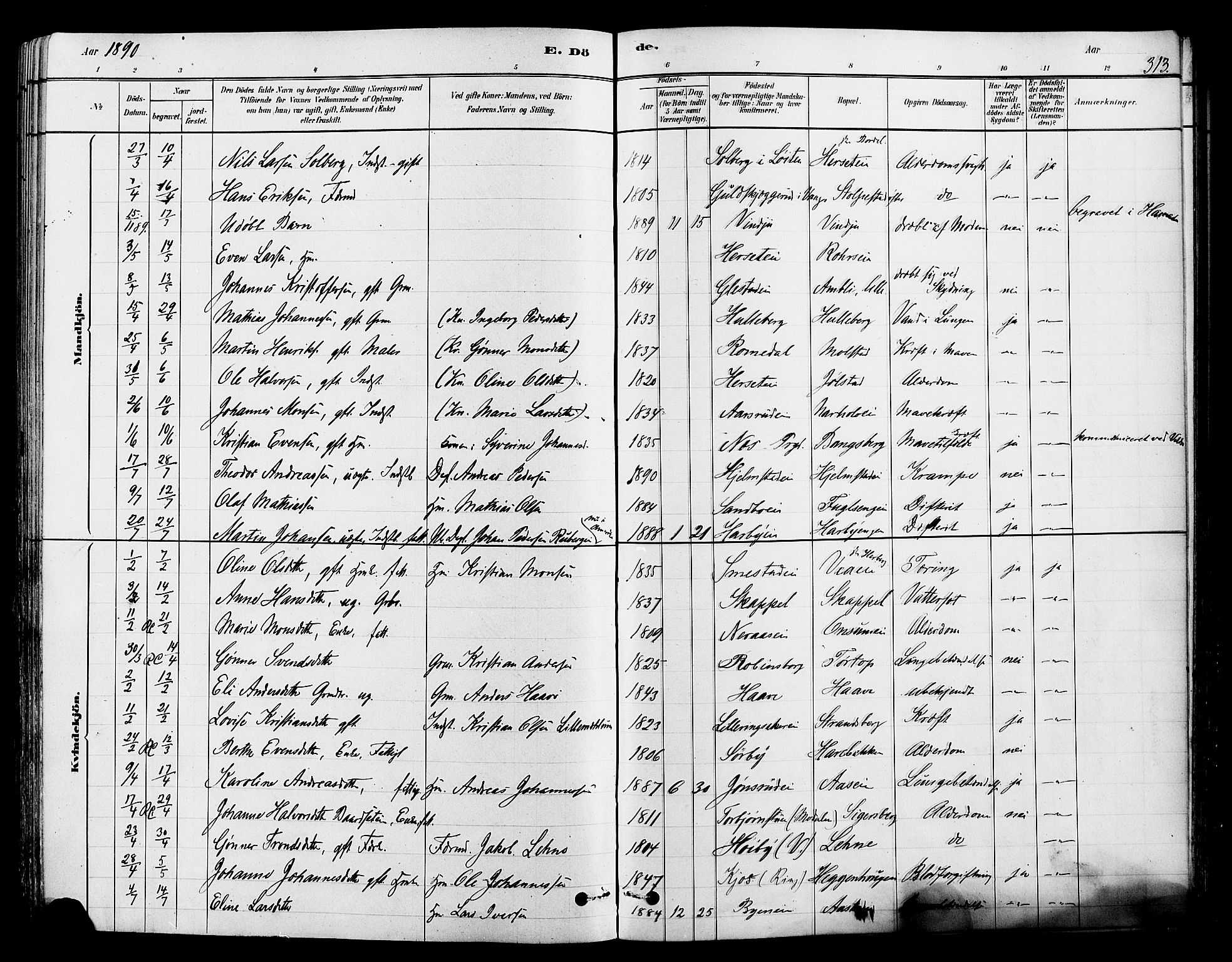 Ringsaker prestekontor, AV/SAH-PREST-014/L/La/L0009: Parish register (copy) no. 9, 1879-1890, p. 313