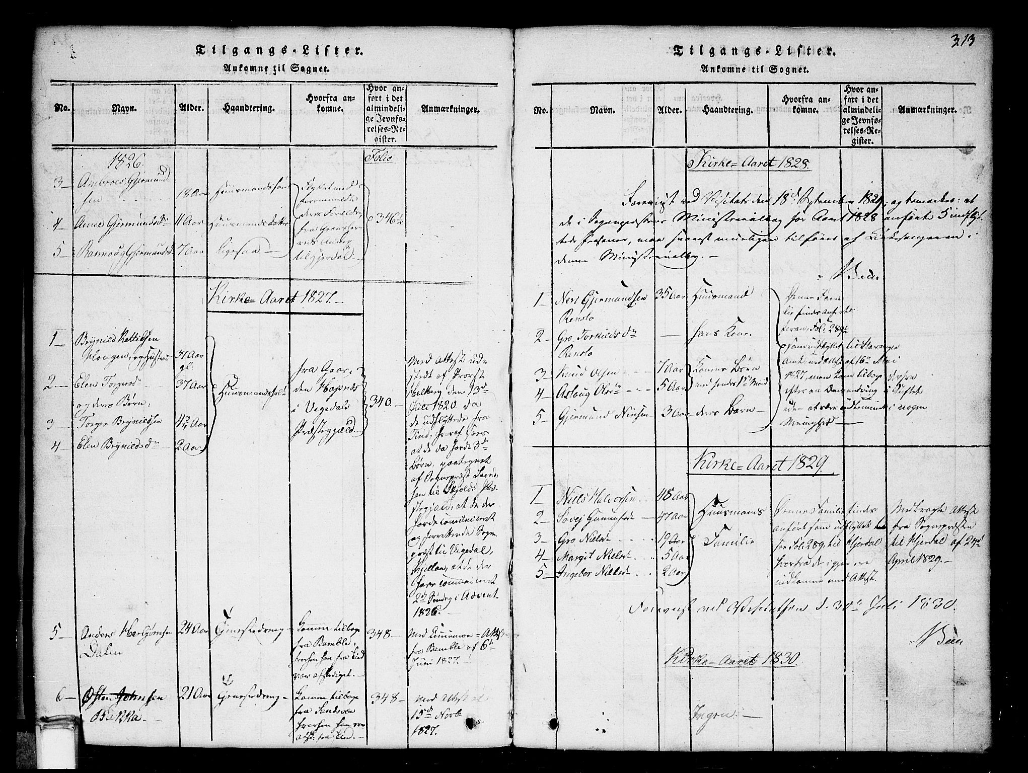 Gransherad kirkebøker, SAKO/A-267/G/Gb/L0001: Parish register (copy) no. II 1, 1815-1860, p. 313