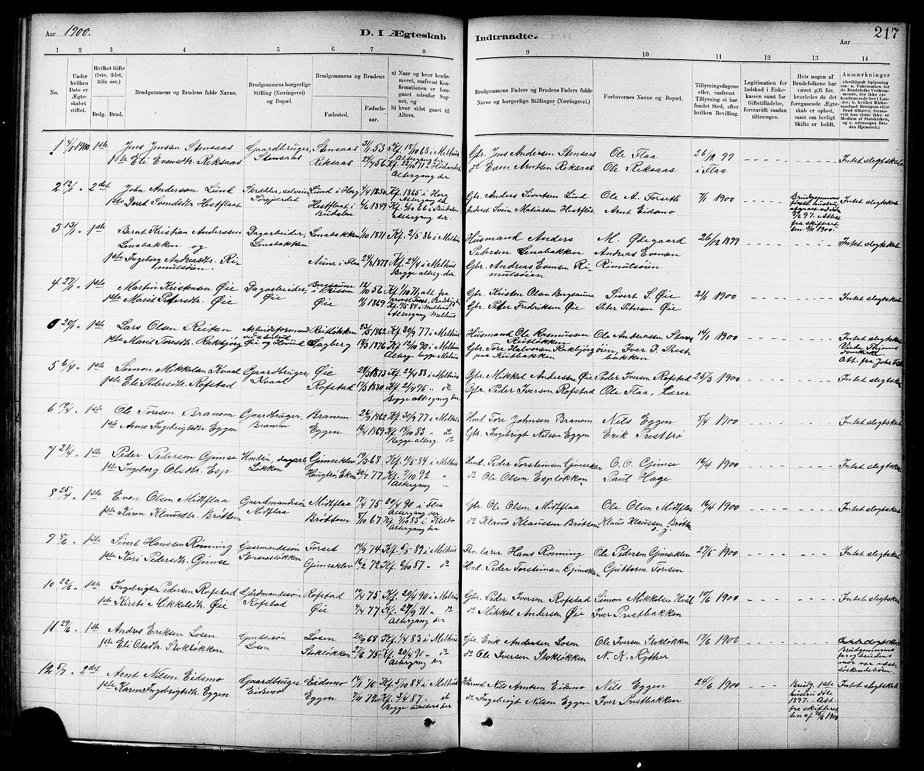 Ministerialprotokoller, klokkerbøker og fødselsregistre - Sør-Trøndelag, SAT/A-1456/691/L1094: Parish register (copy) no. 691C05, 1879-1911, p. 217