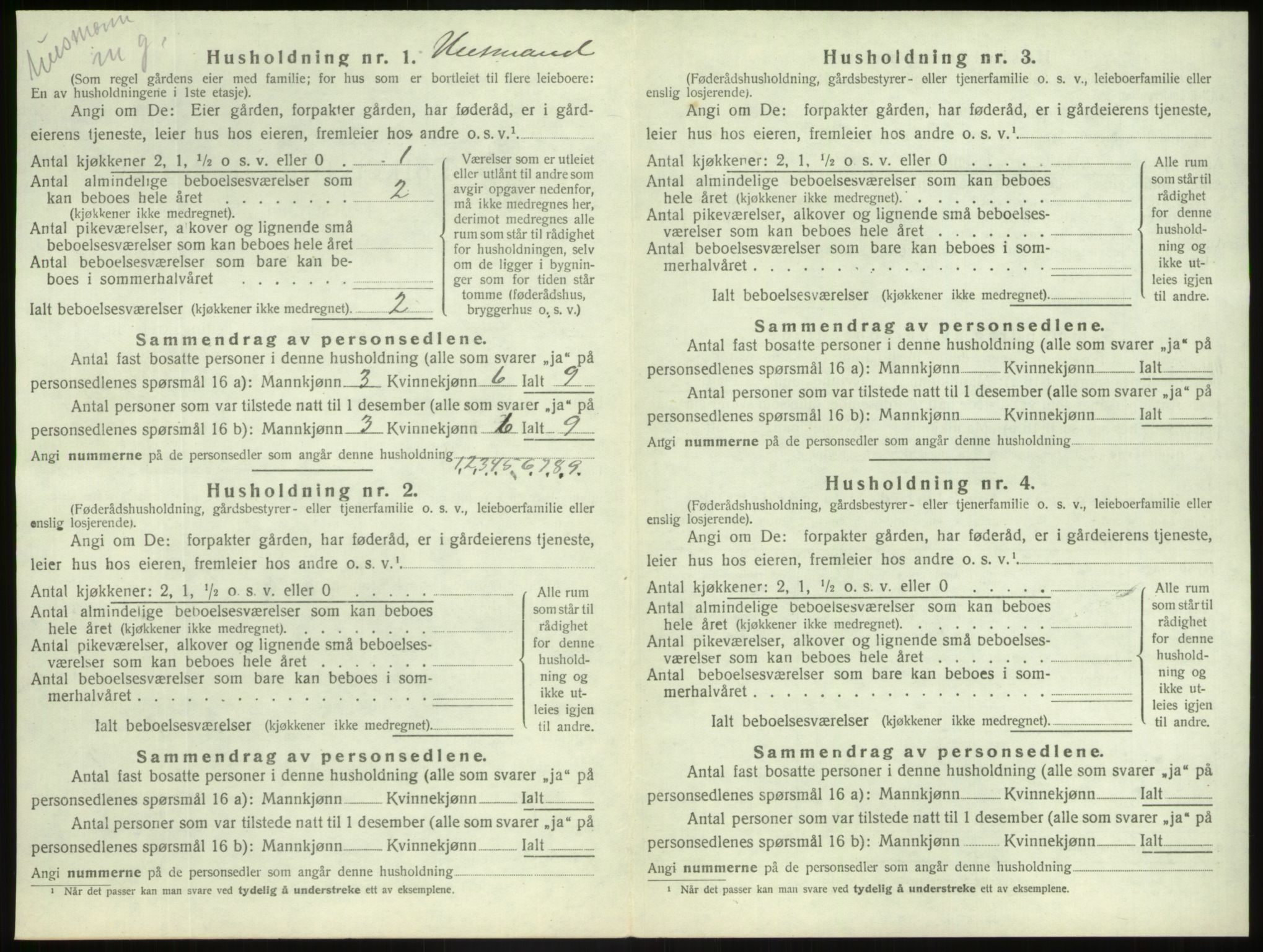 SAB, 1920 census for Jostedal, 1920, p. 41