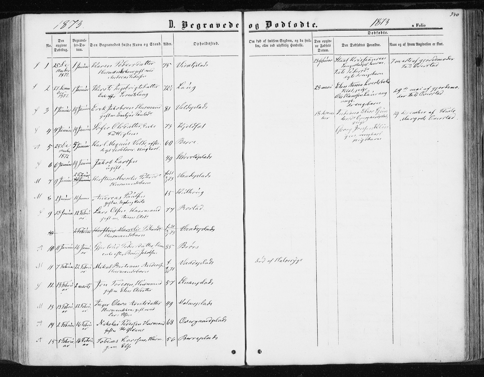 Ministerialprotokoller, klokkerbøker og fødselsregistre - Nord-Trøndelag, SAT/A-1458/741/L0394: Parish register (official) no. 741A08, 1864-1877, p. 340