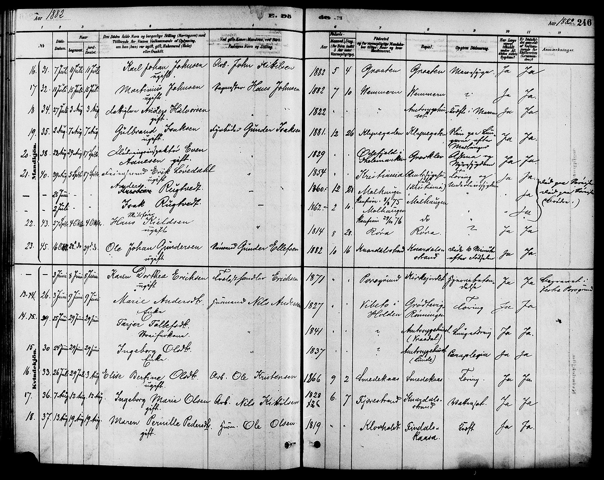 Solum kirkebøker, SAKO/A-306/F/Fa/L0009: Parish register (official) no. I 9, 1877-1887, p. 246