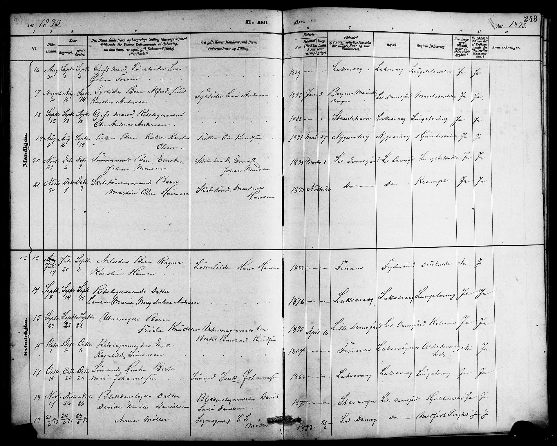 Laksevåg Sokneprestembete, SAB/A-76501/H/Ha/Hab/Haba/L0003: Parish register (copy) no. A 3, 1887-1899, p. 243