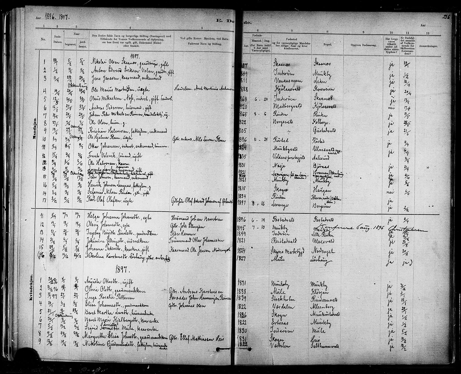 Ministerialprotokoller, klokkerbøker og fødselsregistre - Nord-Trøndelag, AV/SAT-A-1458/721/L0208: Parish register (copy) no. 721C01, 1880-1917, p. 236