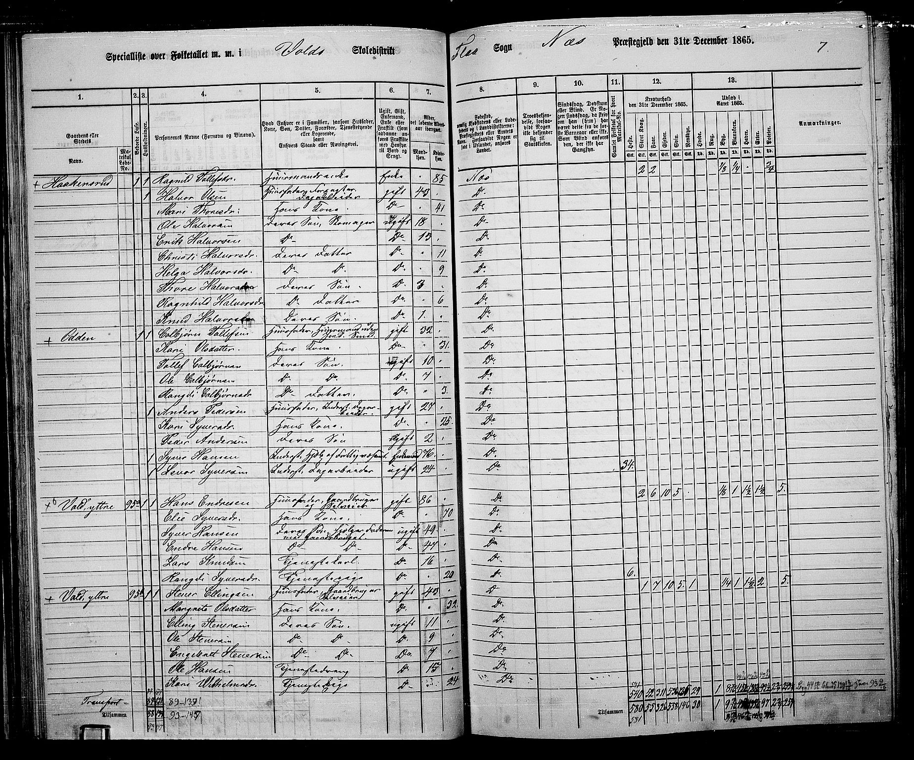 RA, 1865 census for Nes, 1865, p. 63