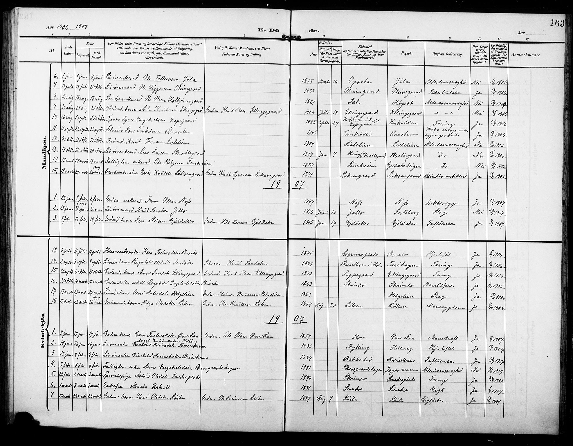 Ål kirkebøker, AV/SAKO-A-249/G/Ga/L0002: Parish register (copy) no. 2, 1904-1928, p. 163