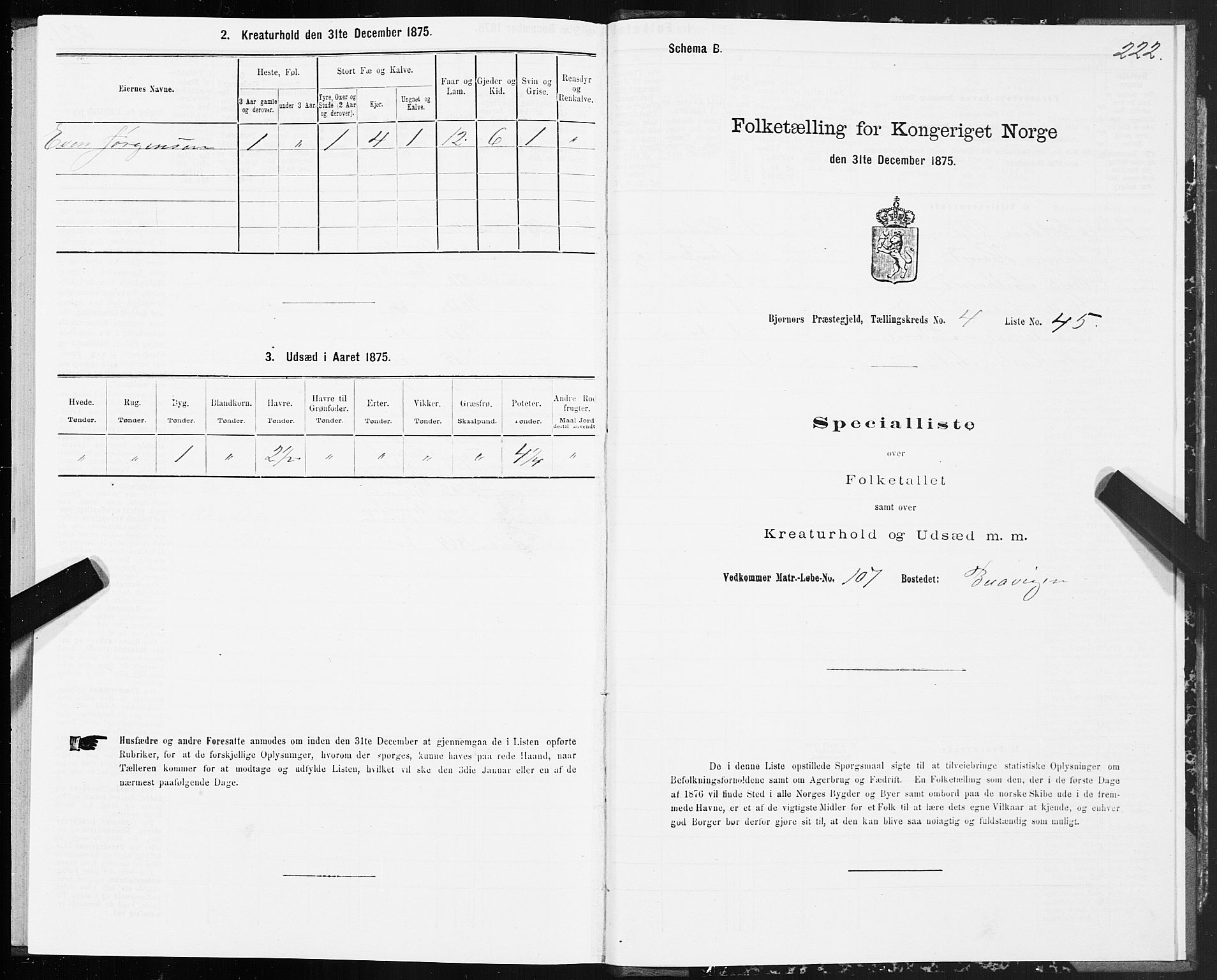 SAT, 1875 census for 1632P Bjørnør, 1875, p. 2222