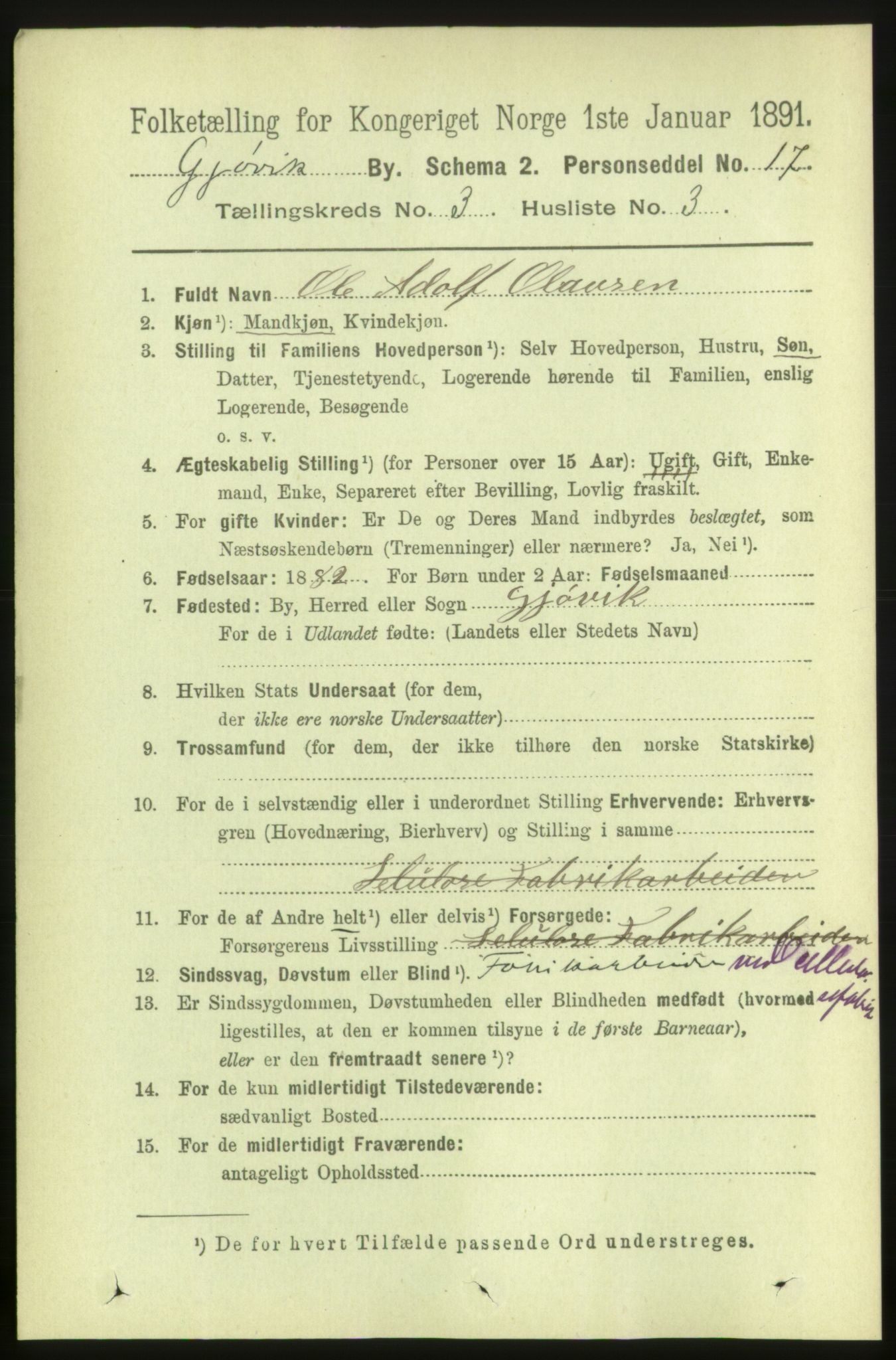 RA, 1891 census for 0502 Gjøvik, 1891, p. 1028