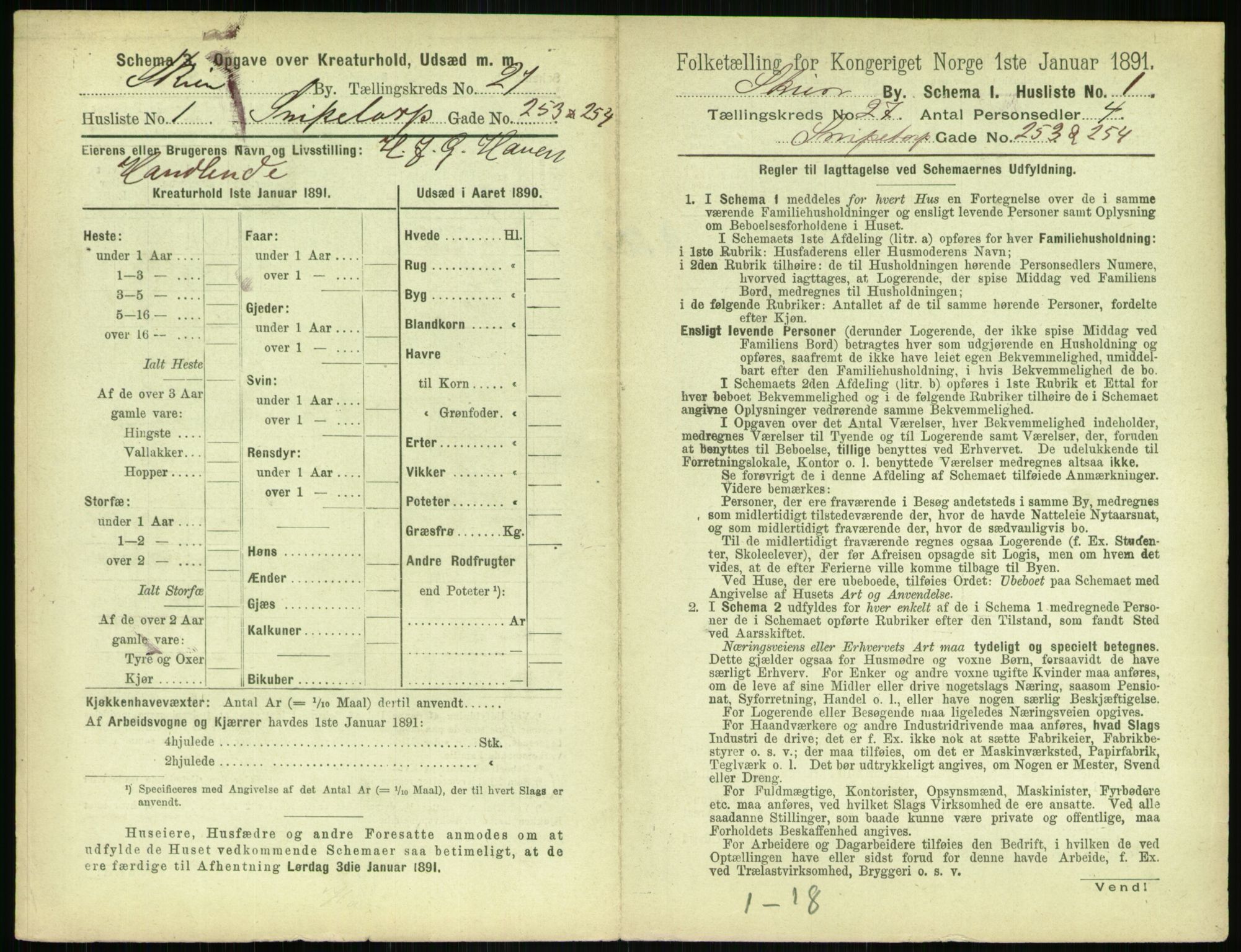 RA, 1891 census for 0806 Skien, 1891, p. 1000