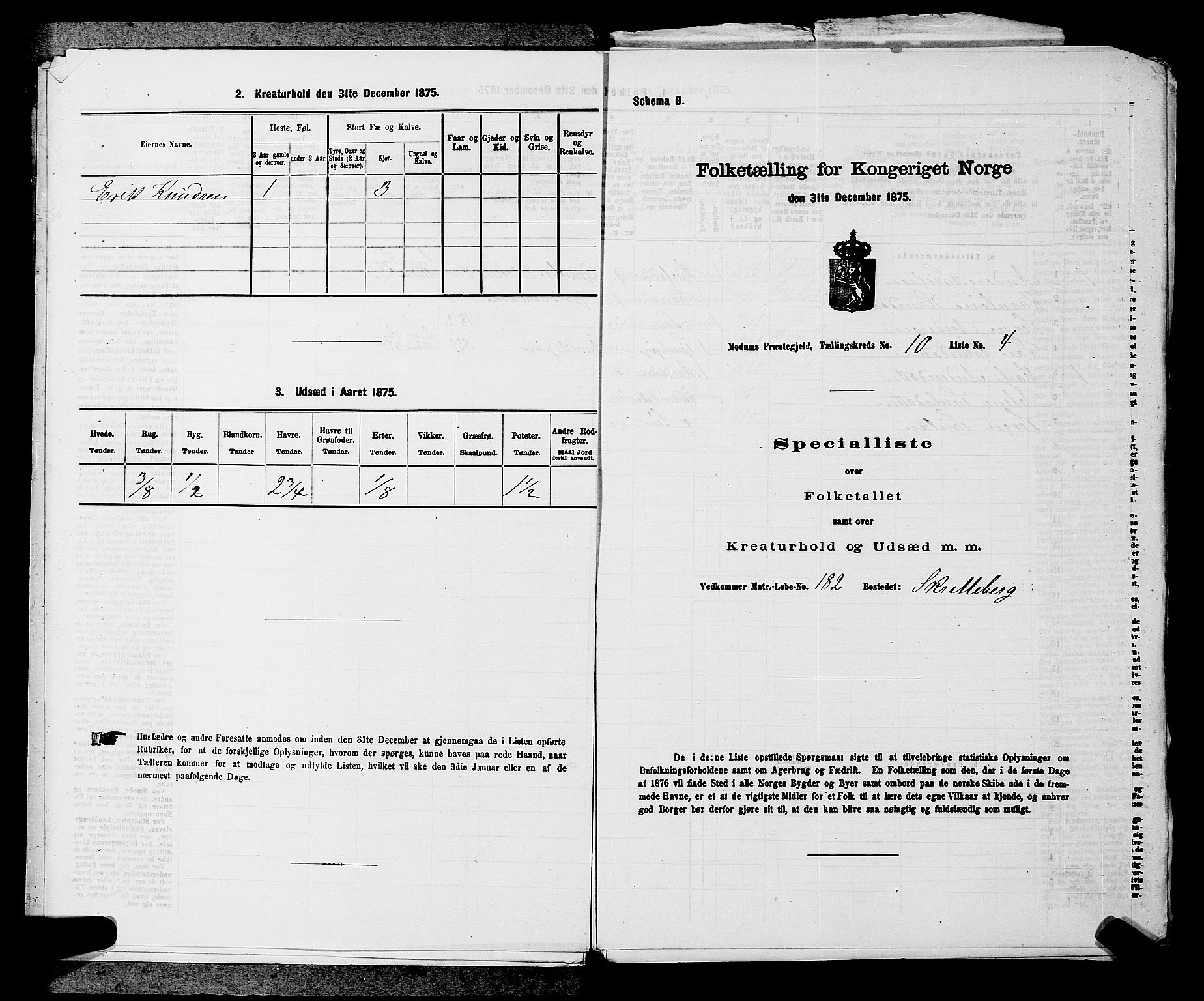 SAKO, 1875 census for 0623P Modum, 1875, p. 1155