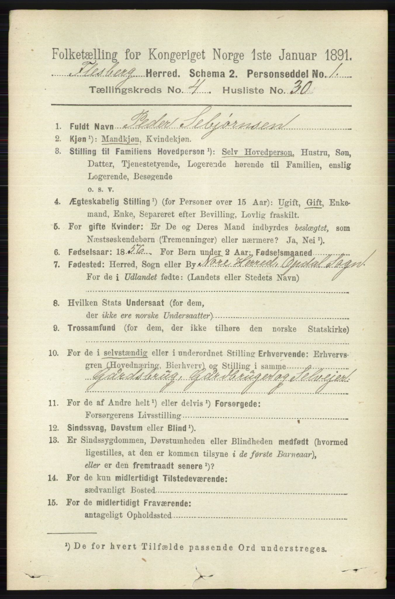 RA, 1891 census for 0631 Flesberg, 1891, p. 681