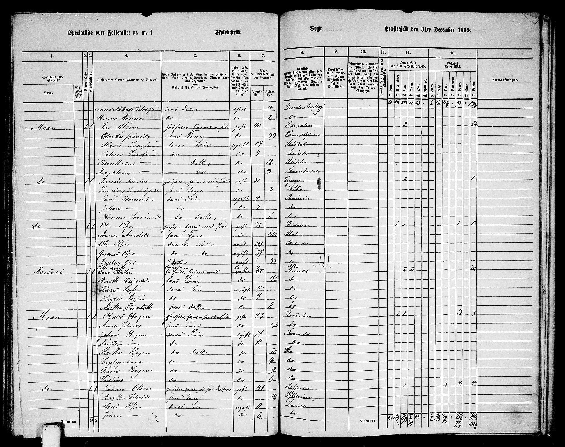 RA, 1865 census for Strinda, 1865, p. 242