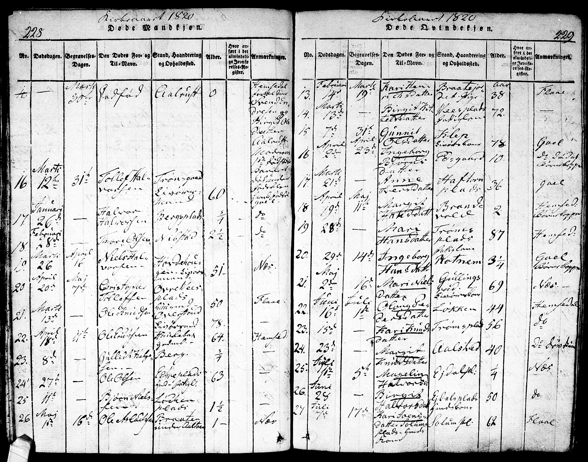 Nes kirkebøker, AV/SAKO-A-236/F/Fa/L0007: Parish register (official) no. 7, 1815-1823, p. 228-229