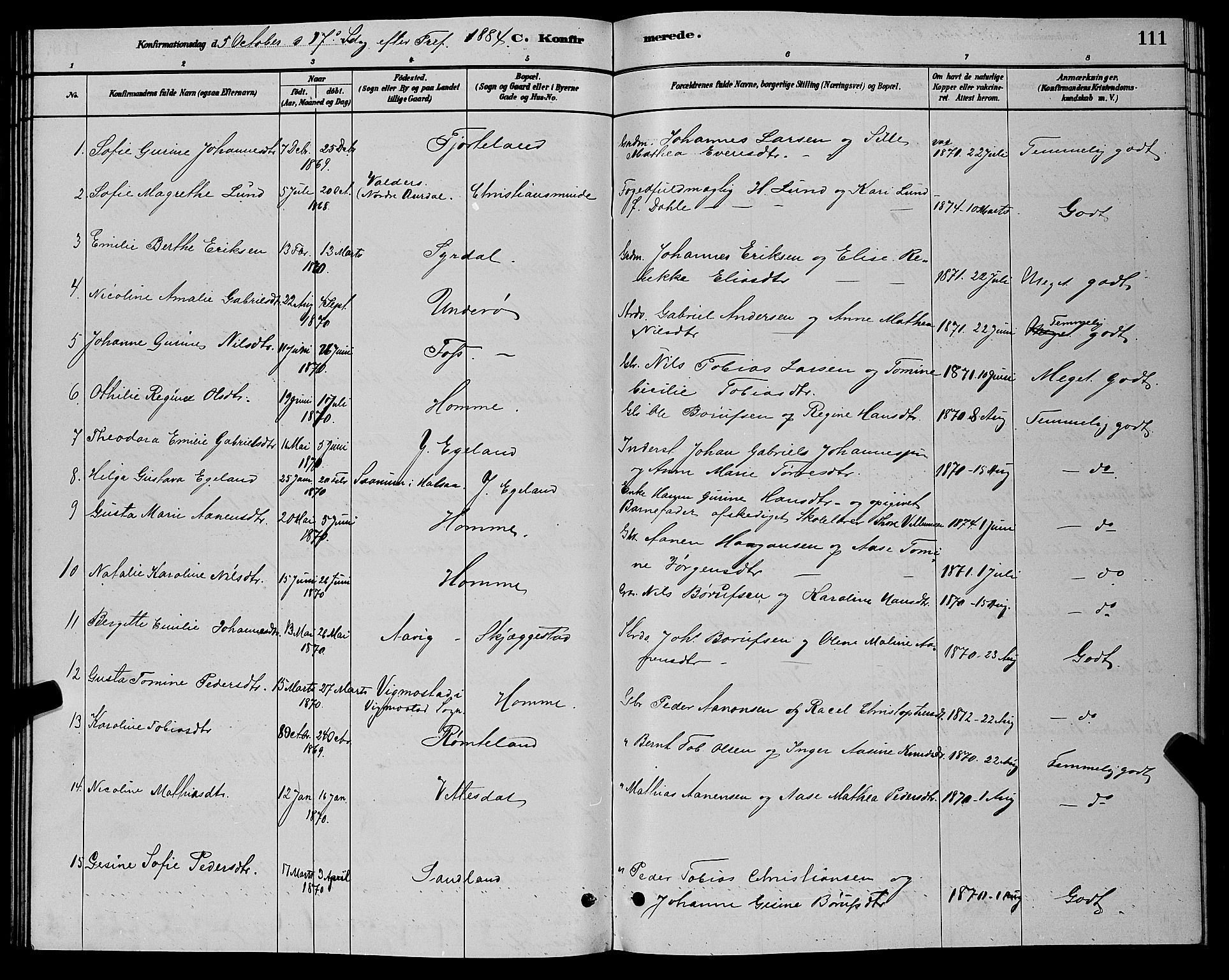 Sør-Audnedal sokneprestkontor, AV/SAK-1111-0039/F/Fb/Fbb/L0005: Parish register (copy) no. B 5, 1880-1892, p. 111