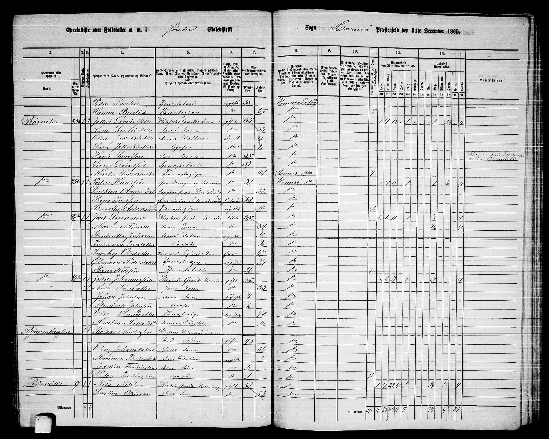 RA, 1865 census for Hamarøy, 1865, p. 49