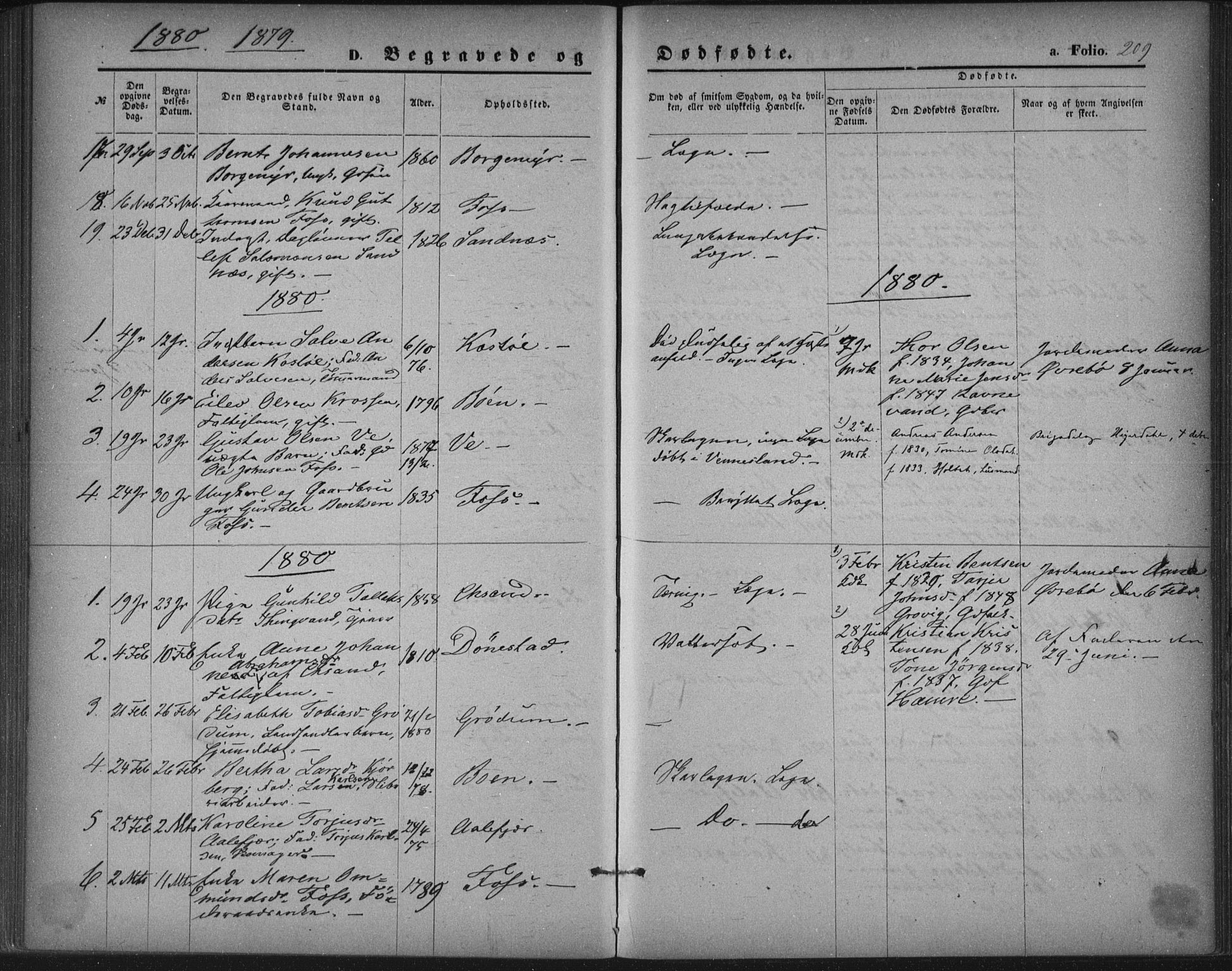 Tveit sokneprestkontor, SAK/1111-0043/F/Fa/L0006: Parish register (official) no. A 6, 1872-1886, p. 209