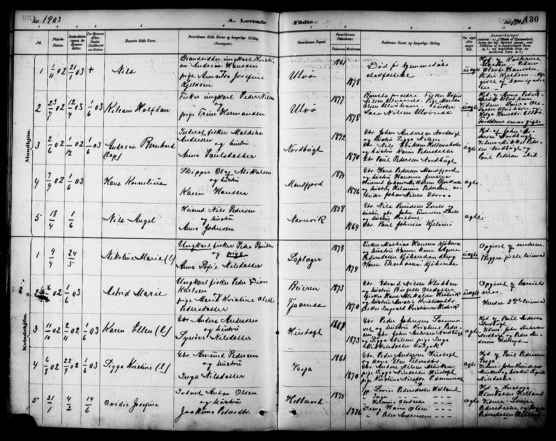 Ministerialprotokoller, klokkerbøker og fødselsregistre - Nordland, AV/SAT-A-1459/861/L0869: Parish register (official) no. 861A04, 1889-1903, p. 130