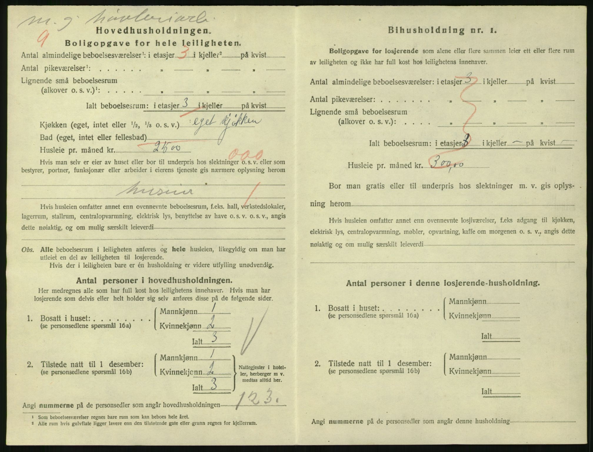 SAKO, 1920 census for Larvik, 1920, p. 3845