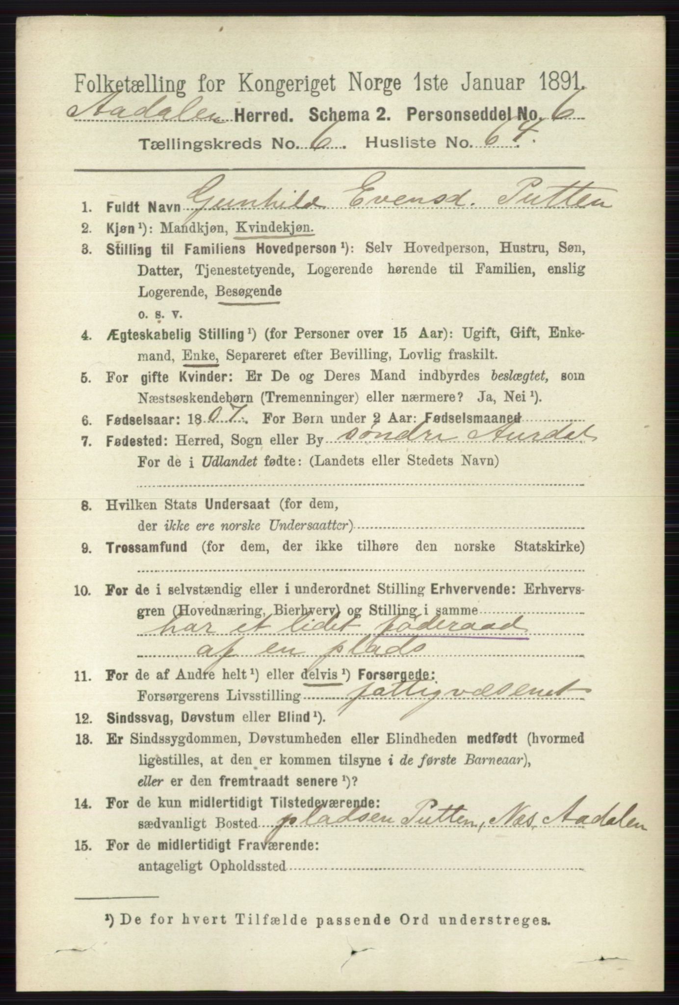 RA, 1891 census for 0614 Ådal, 1891, p. 2999