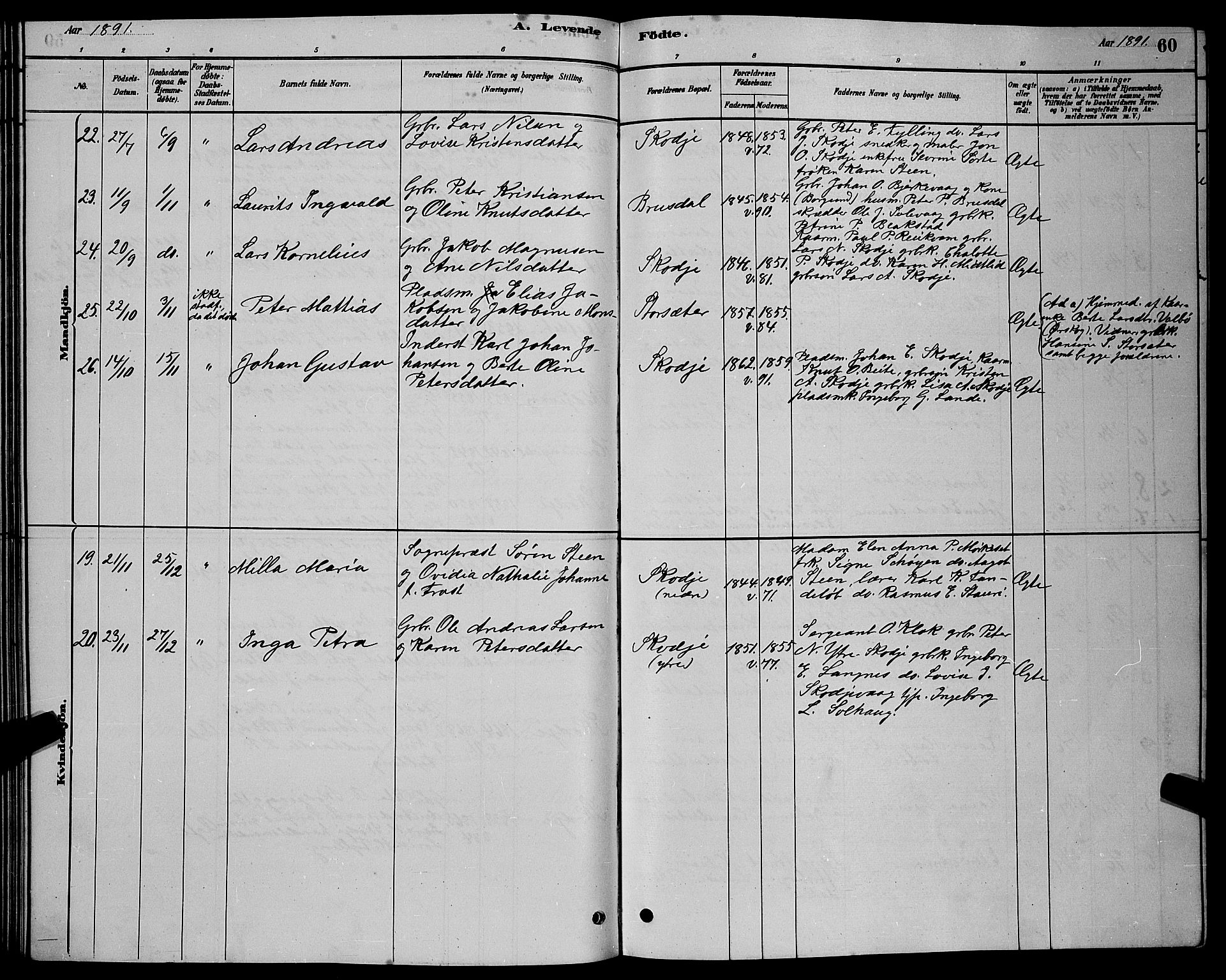 Ministerialprotokoller, klokkerbøker og fødselsregistre - Møre og Romsdal, SAT/A-1454/524/L0365: Parish register (copy) no. 524C06, 1880-1899, p. 60