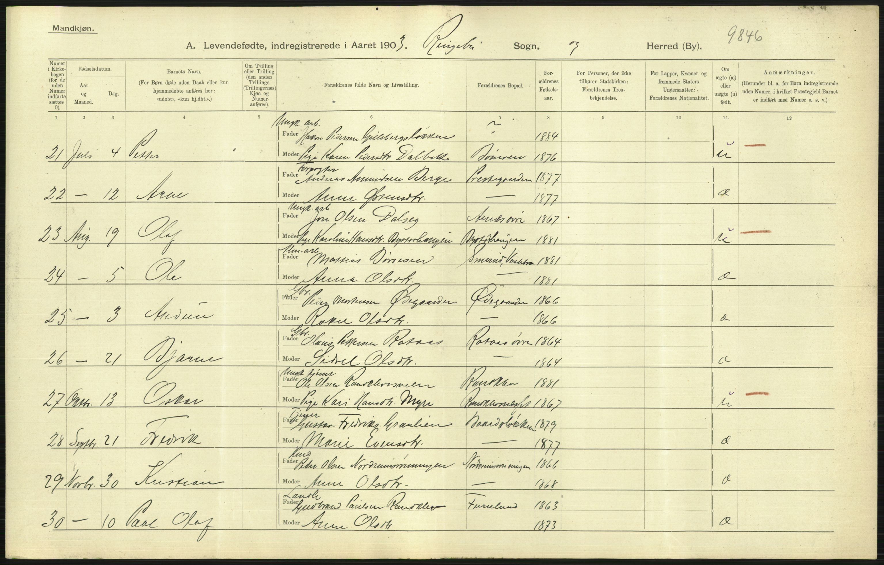 Statistisk sentralbyrå, Sosiodemografiske emner, Befolkning, AV/RA-S-2228/D/Df/Dfa/Dfaa/L0006: Kristians amt: Fødte, gifte, døde, 1903, p. 73