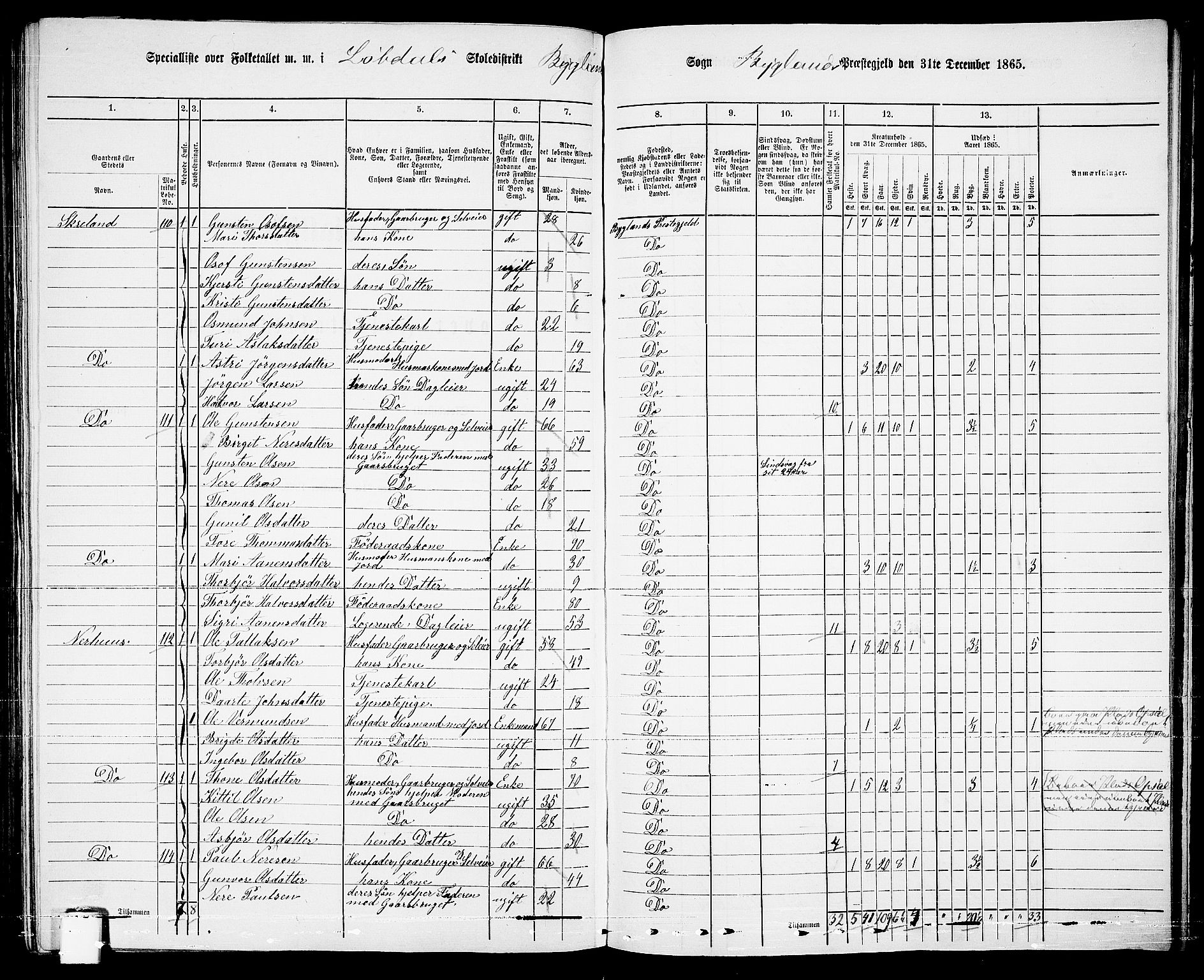 RA, 1865 census for Bygland, 1865, p. 69