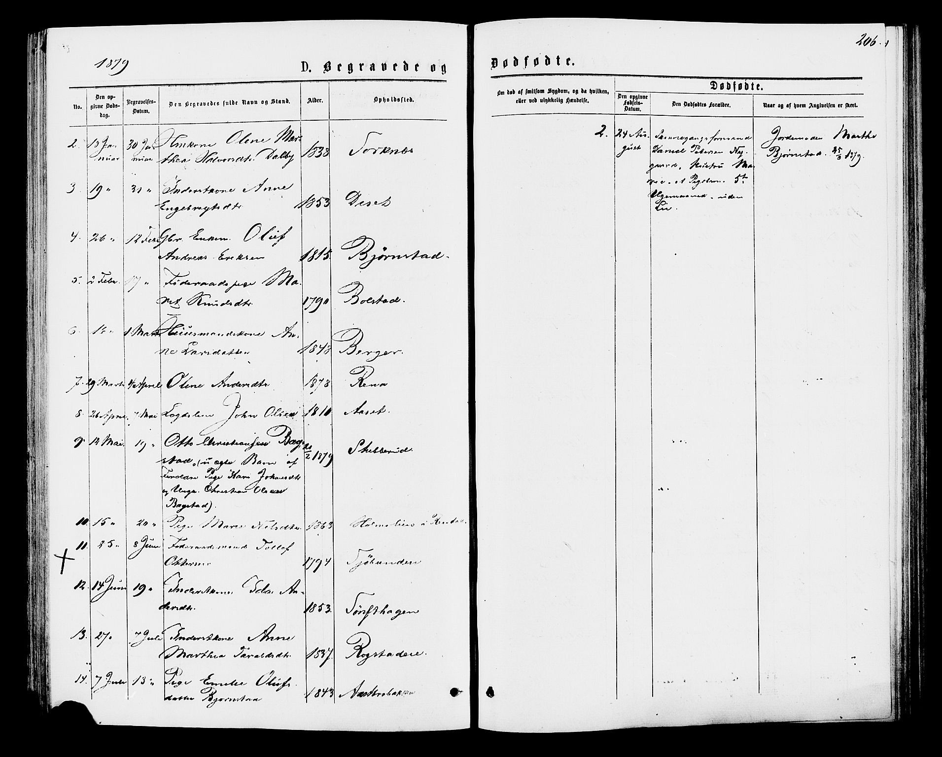 Åmot prestekontor, Hedmark, AV/SAH-PREST-056/H/Ha/Haa/L0009: Parish register (official) no. 9, 1875-1883, p. 206