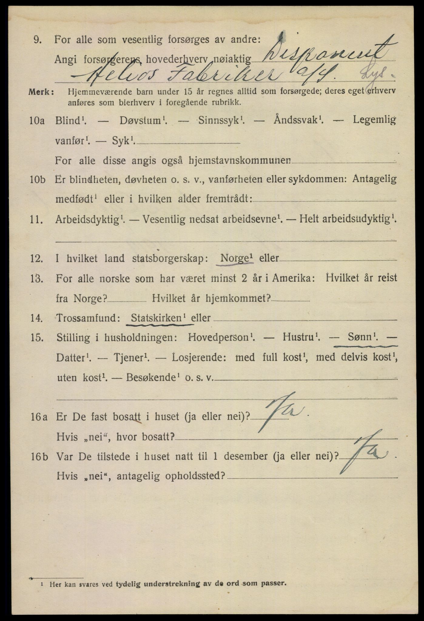 SAKO, 1920 census for Skien, 1920, p. 21225