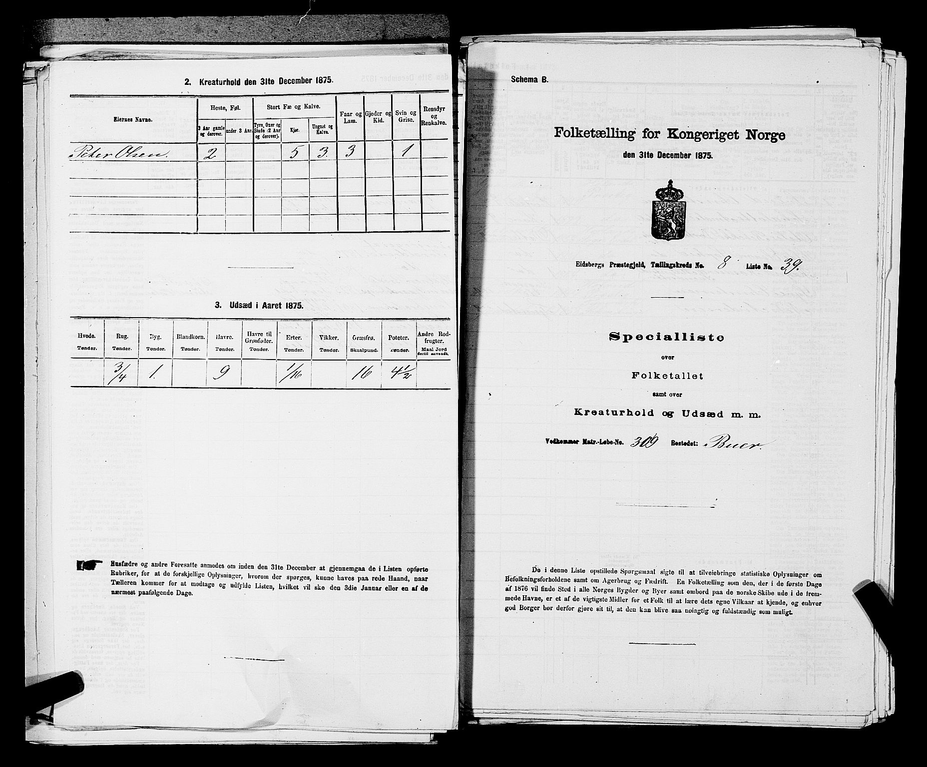 RA, 1875 census for 0125P Eidsberg, 1875, p. 1707