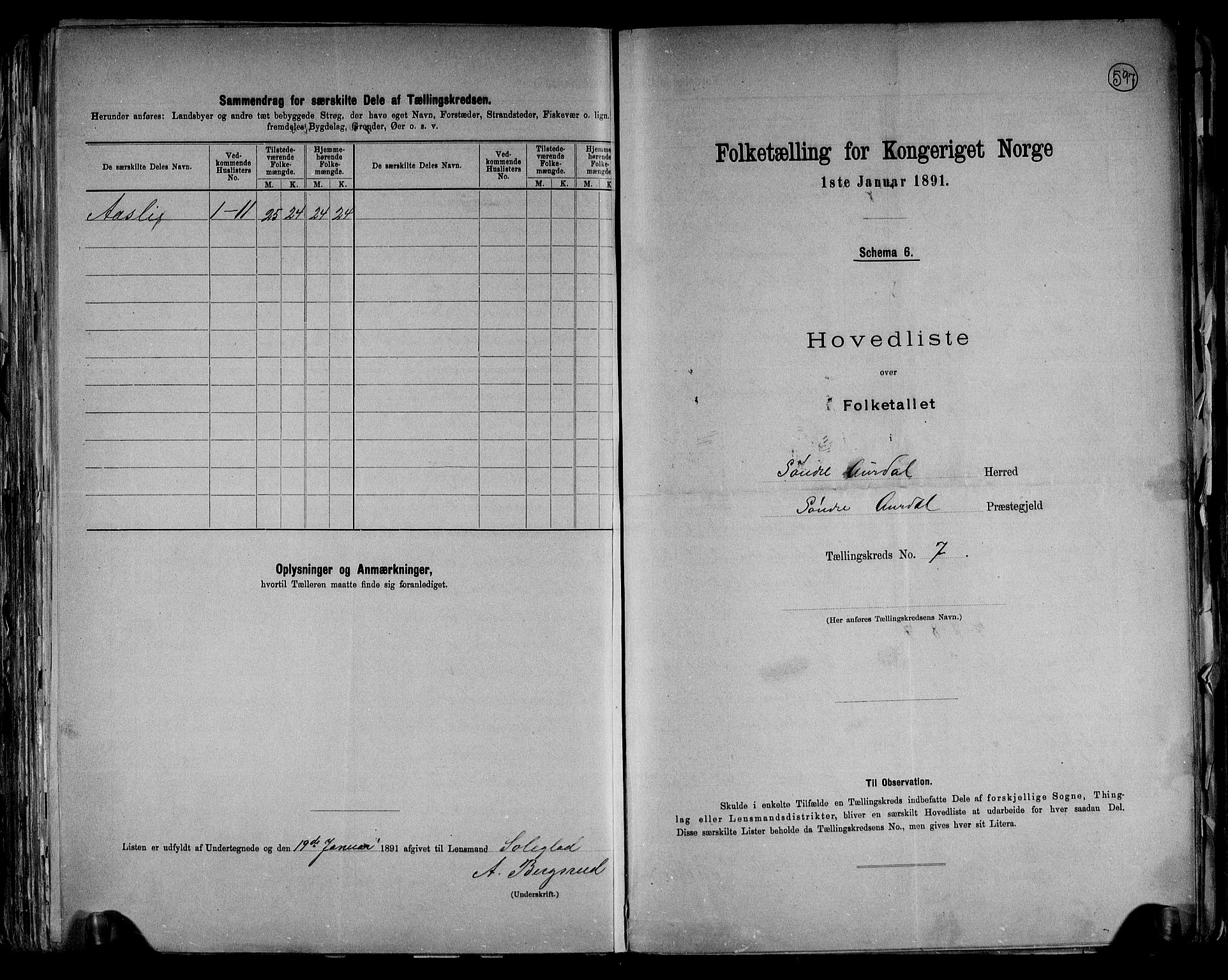RA, 1891 census for 0540 Sør-Aurdal, 1891, p. 20