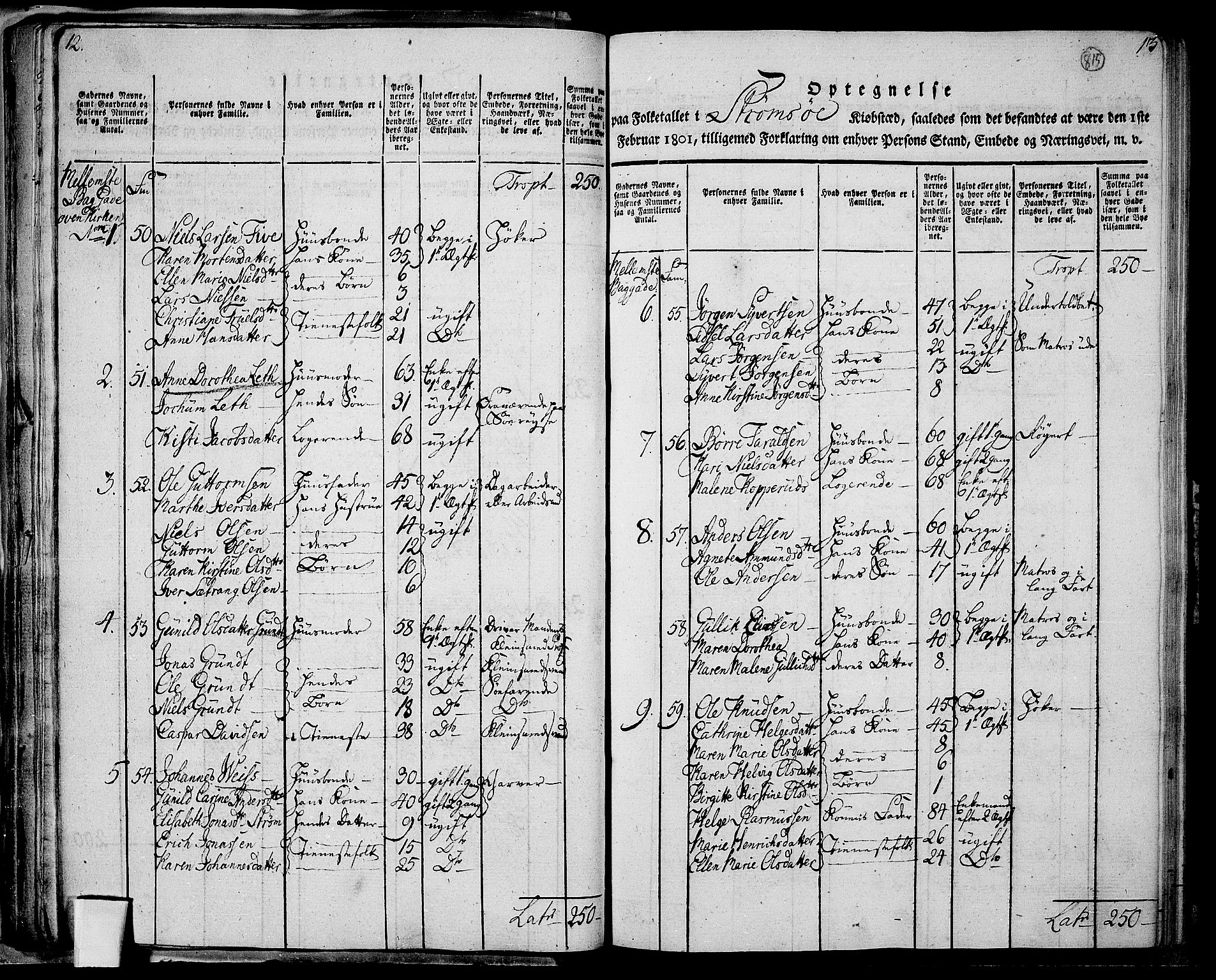 RA, 1801 census for 0602P Bragernes, 1801, p. 814b-815a
