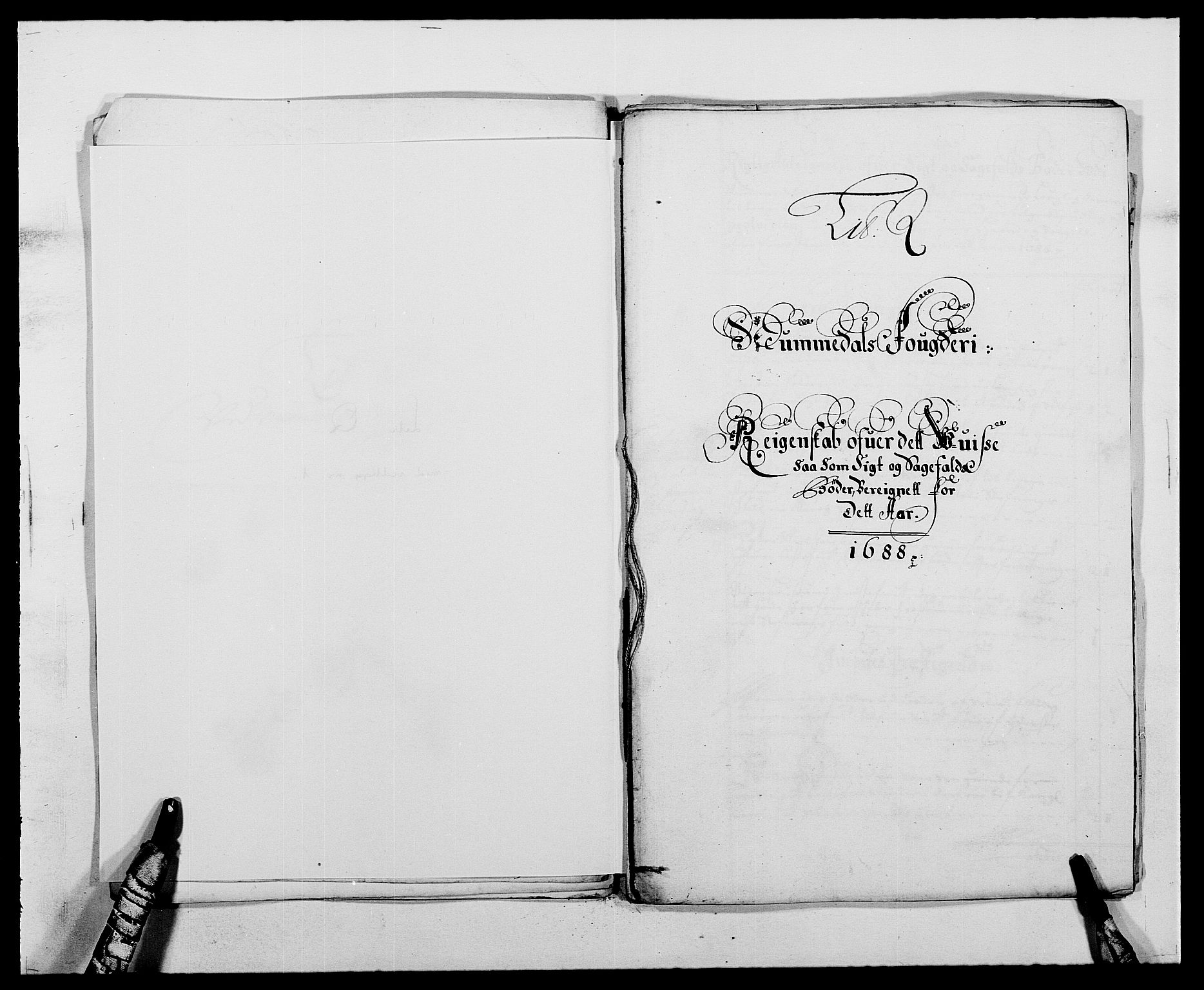Rentekammeret inntil 1814, Reviderte regnskaper, Fogderegnskap, AV/RA-EA-4092/R64/L4422: Fogderegnskap Namdal, 1687-1689, p. 170