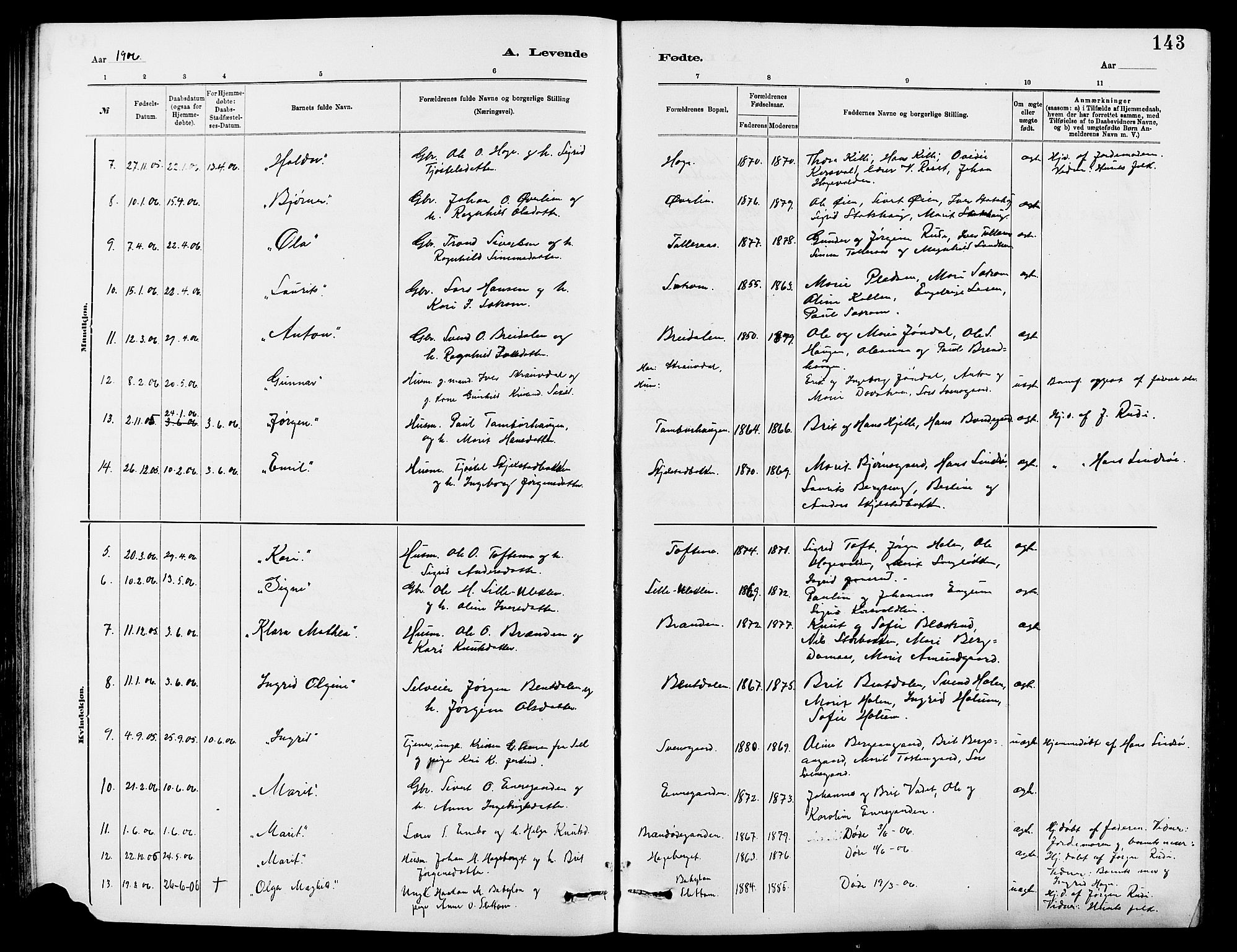 Dovre prestekontor, AV/SAH-PREST-066/H/Ha/Hab/L0002: Parish register (copy) no. 2, 1881-1907, p. 143