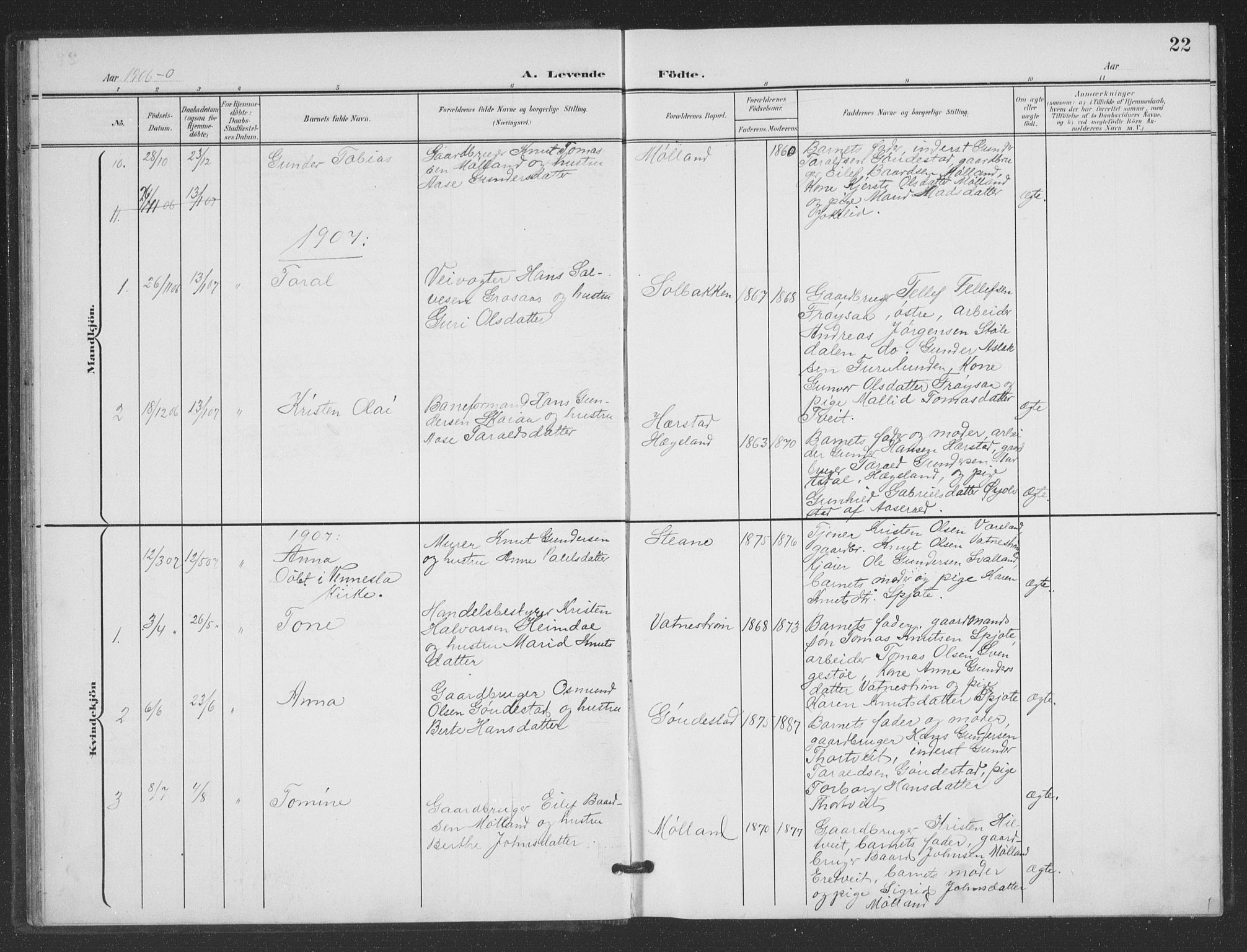 Evje sokneprestkontor, AV/SAK-1111-0008/F/Fb/Fbc/L0005: Parish register (copy) no. B 5, 1901-1935, p. 22