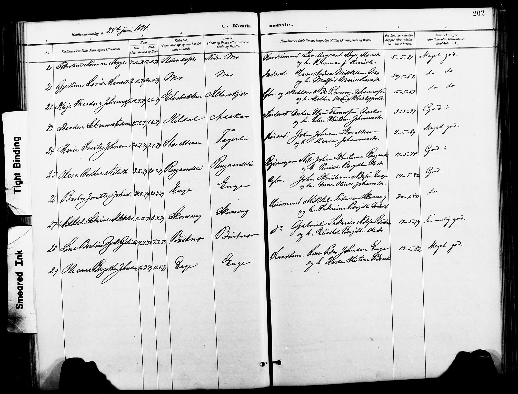 Ministerialprotokoller, klokkerbøker og fødselsregistre - Nordland, AV/SAT-A-1459/827/L0421: Parish register (copy) no. 827C10, 1887-1906, p. 202