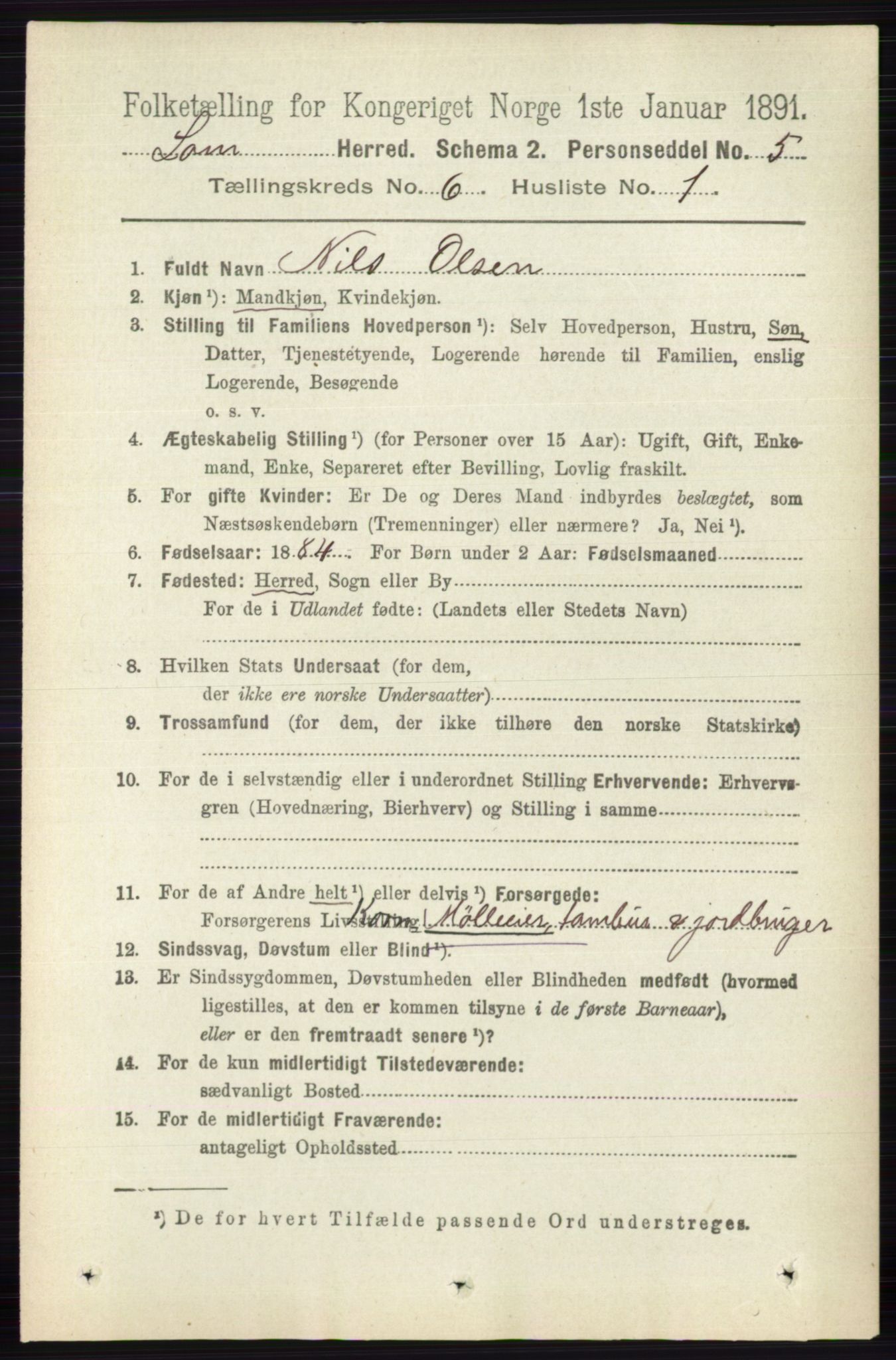 RA, 1891 census for 0514 Lom, 1891, p. 2374