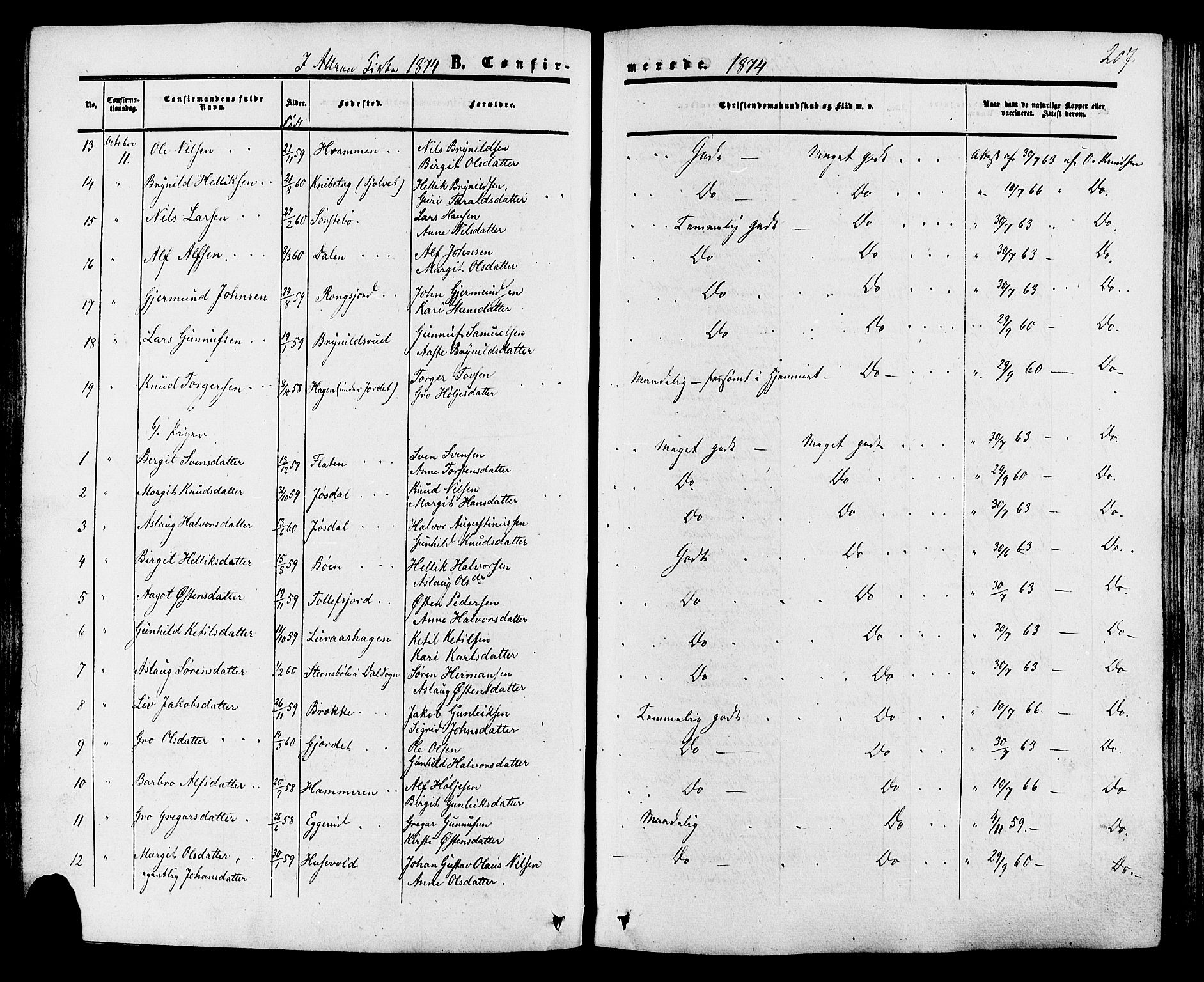 Tinn kirkebøker, SAKO/A-308/F/Fa/L0006: Parish register (official) no. I 6, 1857-1878, p. 207