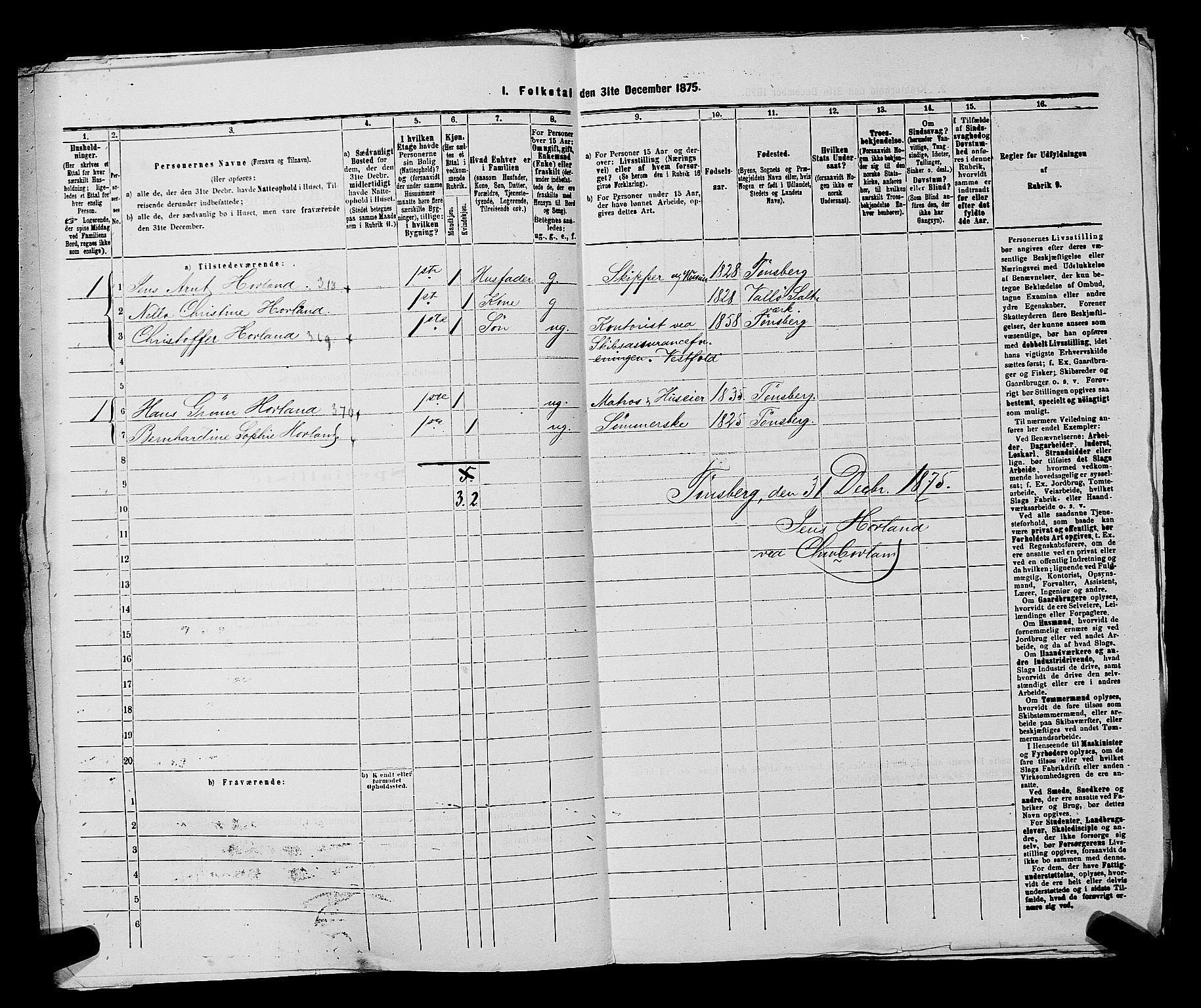 SAKO, 1875 census for 0705P Tønsberg, 1875, p. 29