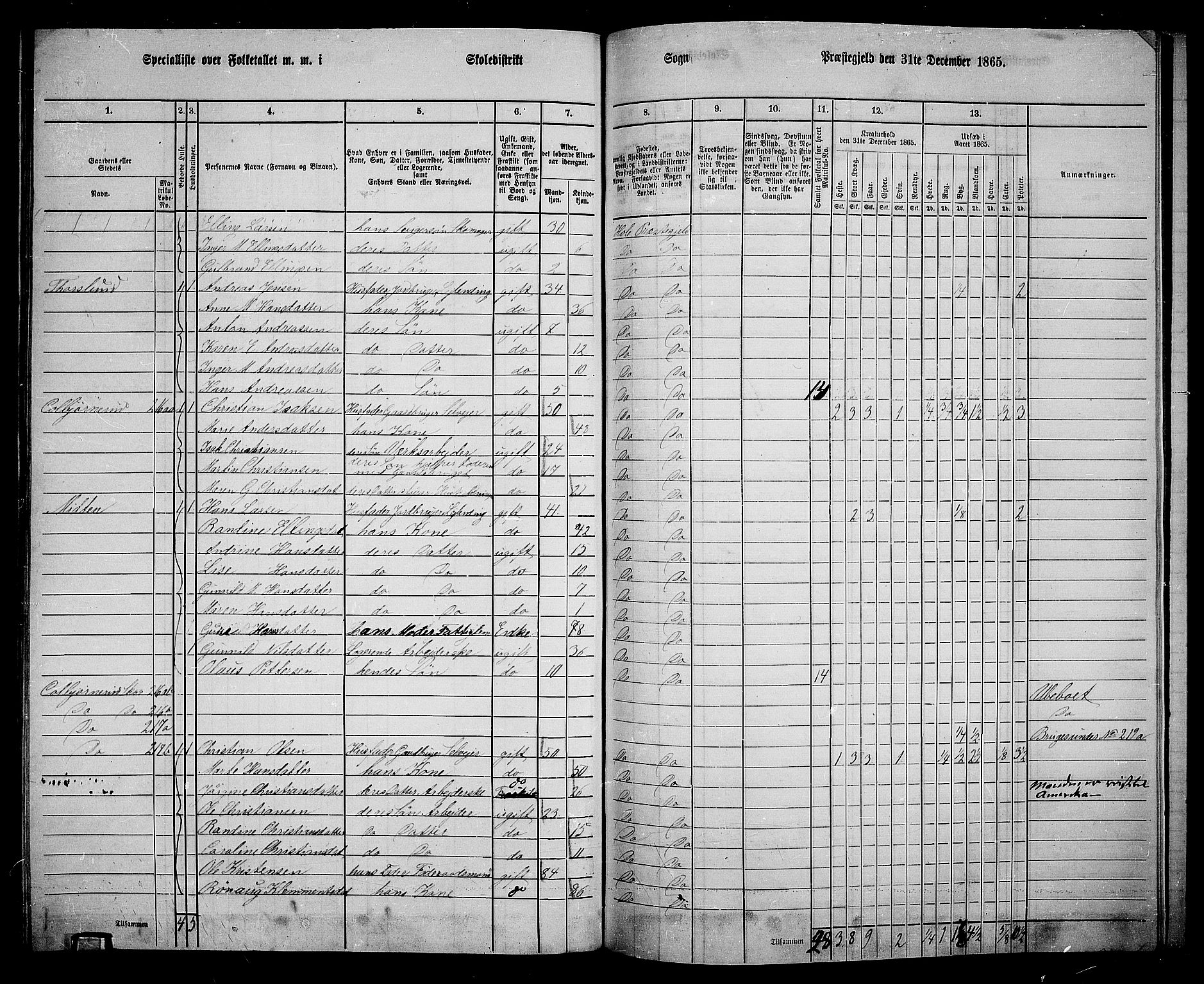 RA, 1865 census for Hole, 1865, p. 149