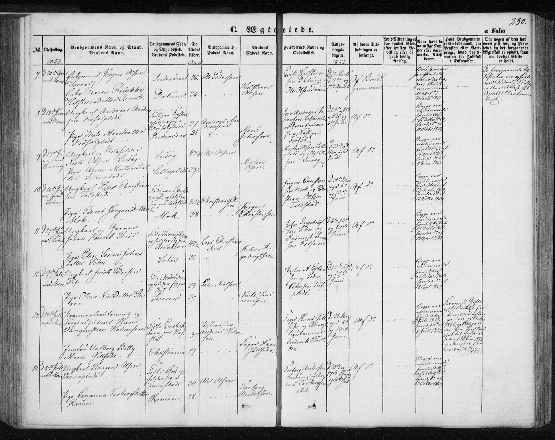 Ministerialprotokoller, klokkerbøker og fødselsregistre - Nord-Trøndelag, SAT/A-1458/735/L0342: Parish register (official) no. 735A07 /1, 1849-1862, p. 230