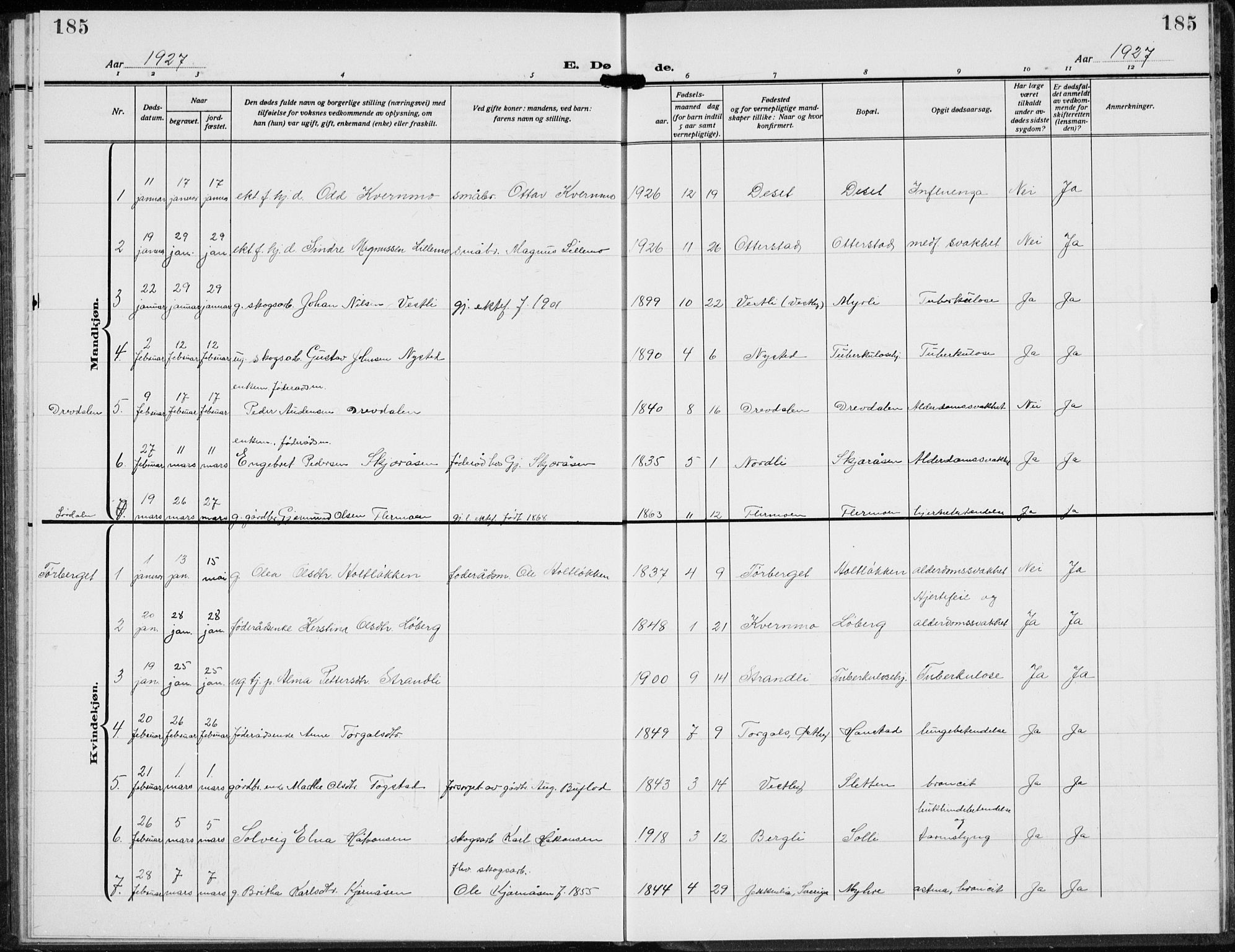 Trysil prestekontor, AV/SAH-PREST-046/H/Ha/Hab/L0010: Parish register (copy) no. 10, 1917-1937, p. 185