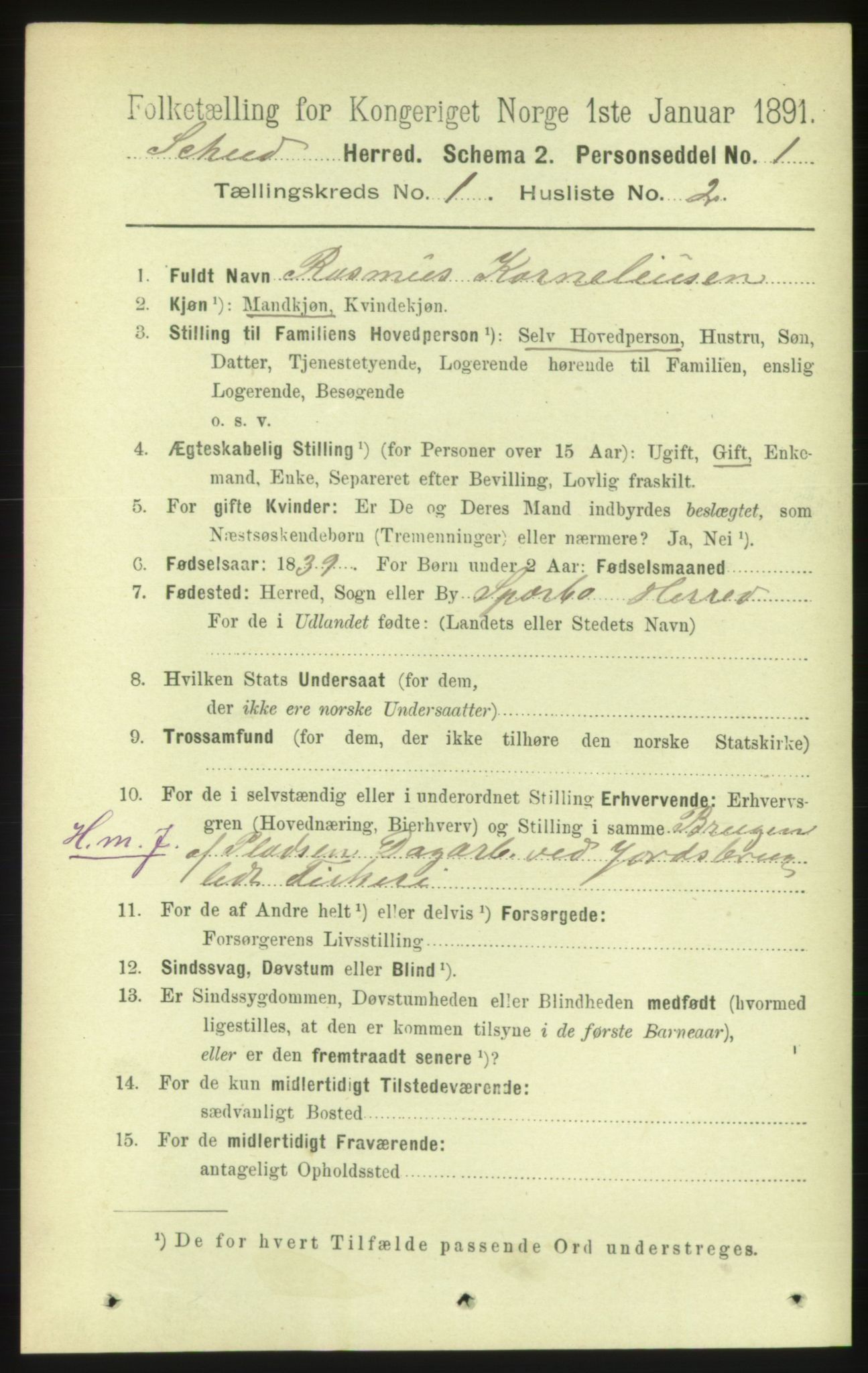 RA, 1891 census for 1732 Skei, 1891, p. 167