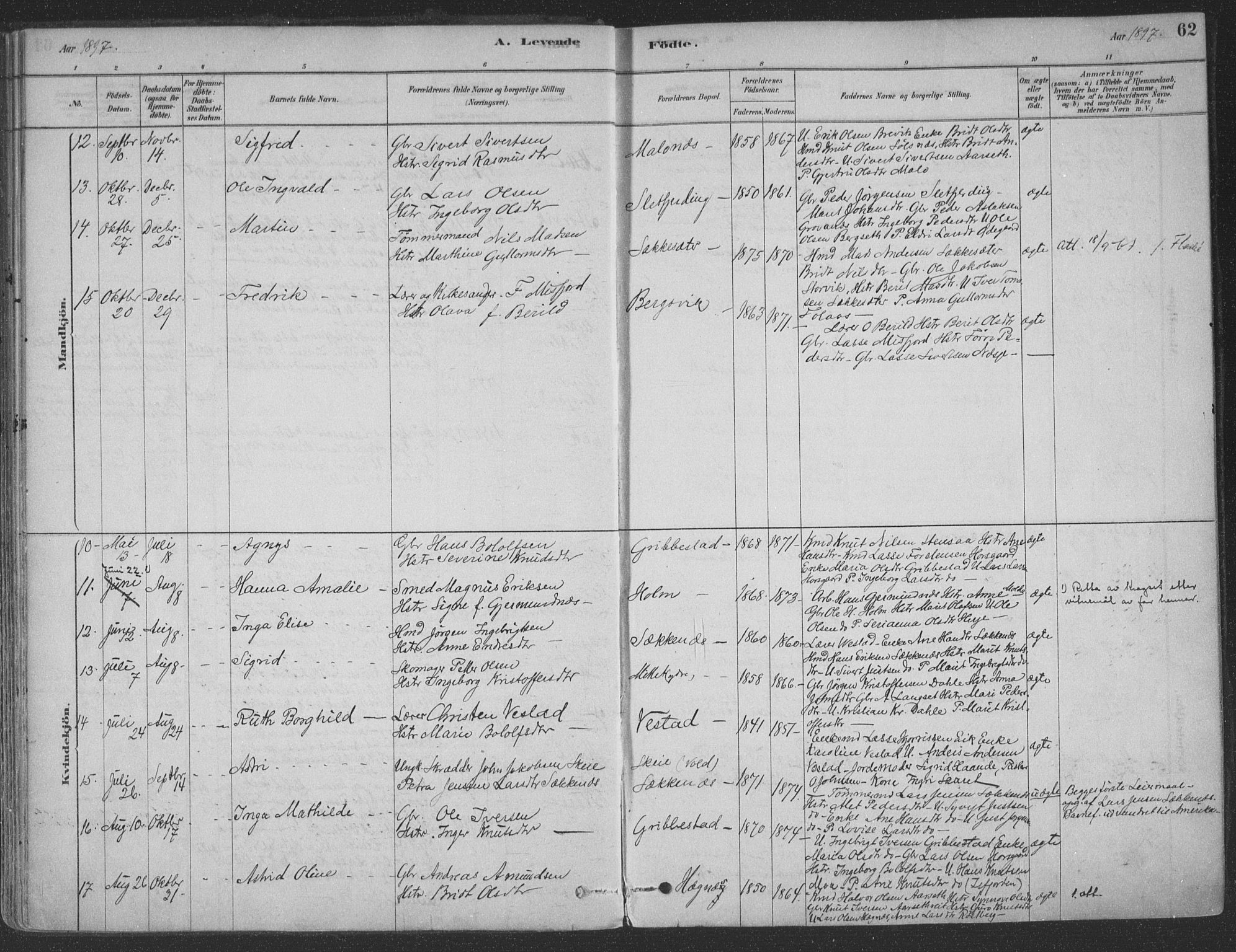 Ministerialprotokoller, klokkerbøker og fødselsregistre - Møre og Romsdal, AV/SAT-A-1454/547/L0604: Parish register (official) no. 547A06, 1878-1906, p. 62