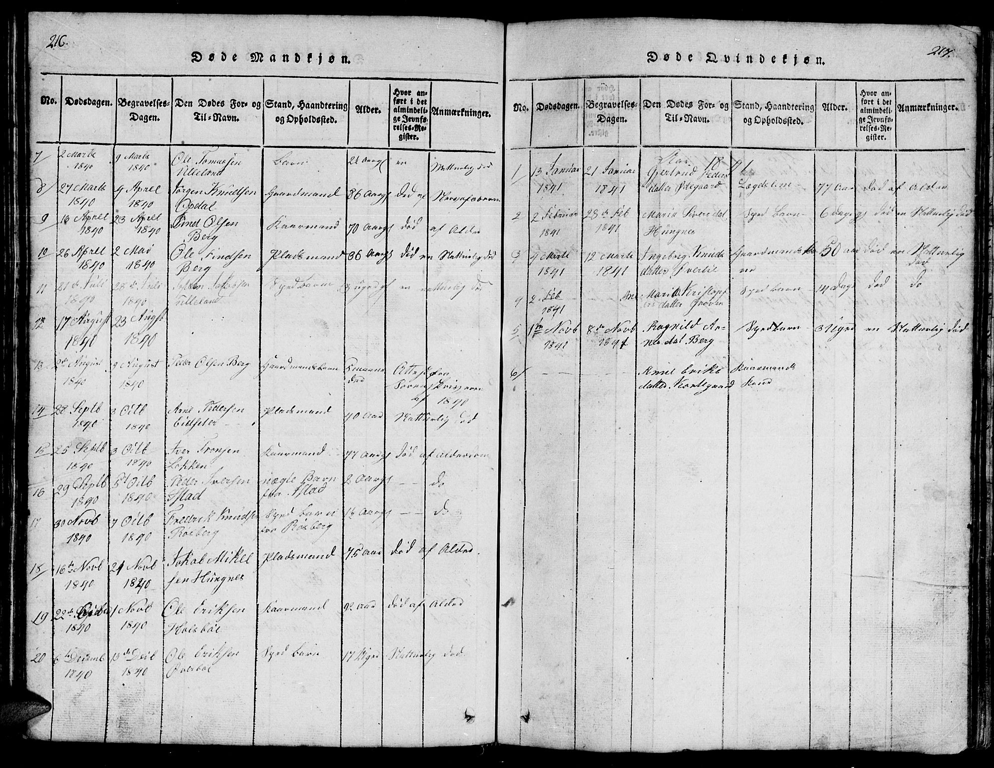 Ministerialprotokoller, klokkerbøker og fødselsregistre - Møre og Romsdal, AV/SAT-A-1454/557/L0683: Parish register (copy) no. 557C01, 1818-1862, p. 216-217