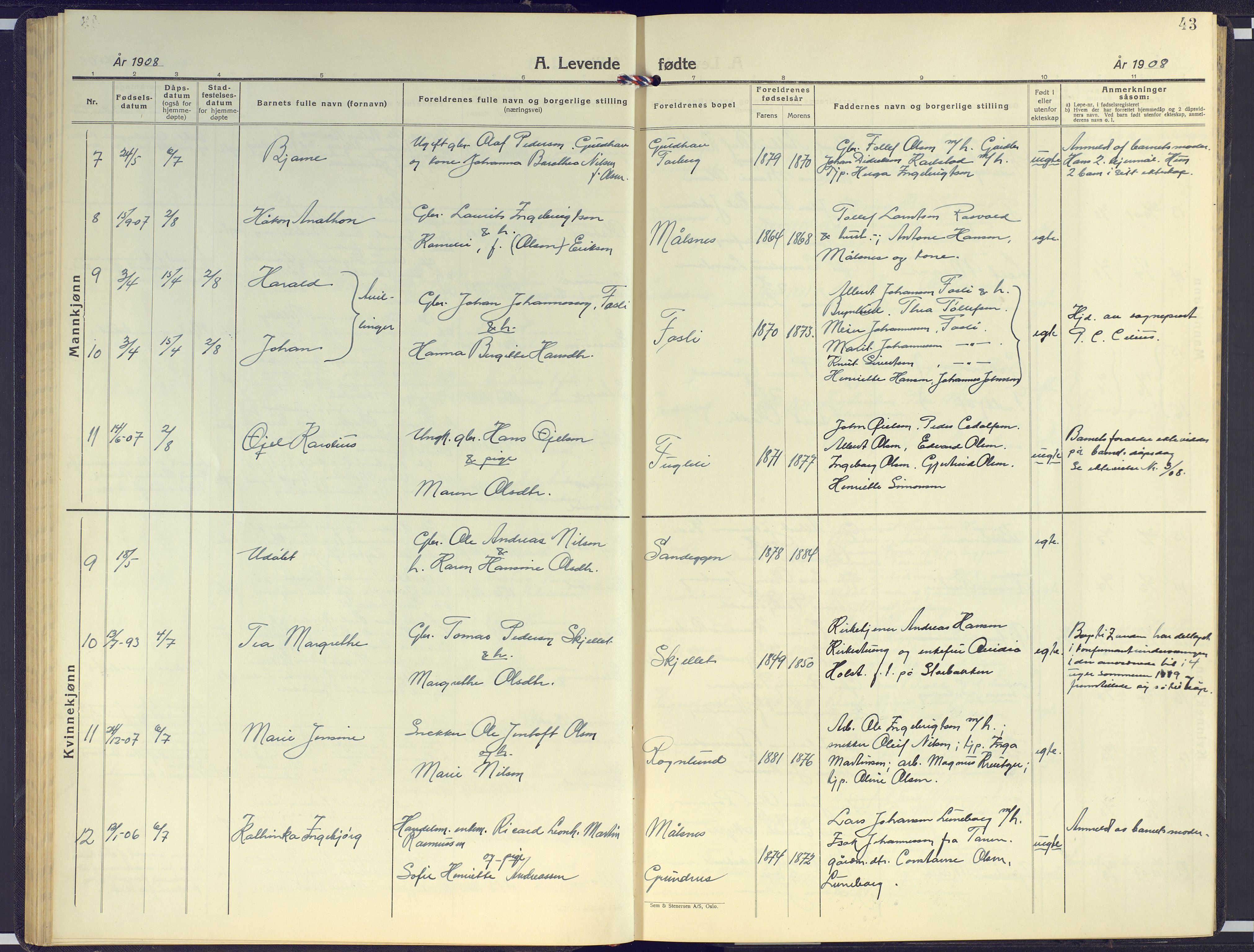 Målselv sokneprestembete, AV/SATØ-S-1311/G/Ga/Gab/L0005klokker: Parish register (copy) no. 5, 1901-1932, p. 43