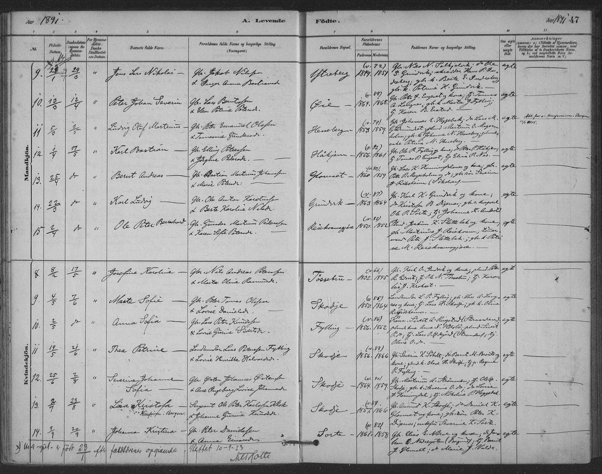 Ministerialprotokoller, klokkerbøker og fødselsregistre - Møre og Romsdal, AV/SAT-A-1454/524/L0356: Parish register (official) no. 524A08, 1880-1899, p. 47