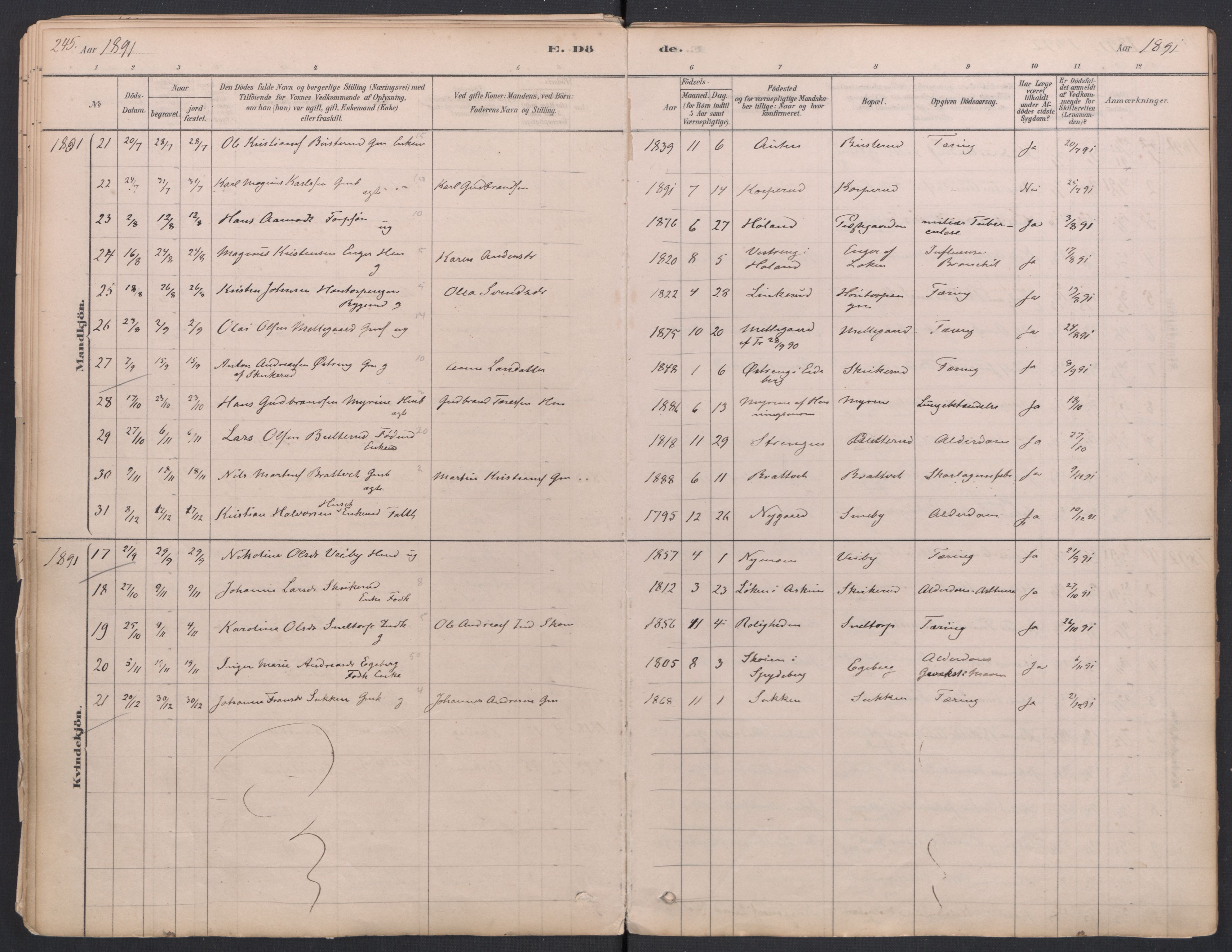 Trøgstad prestekontor Kirkebøker, SAO/A-10925/F/Fa/L0010: Parish register (official) no. I 10, 1878-1898, p. 245