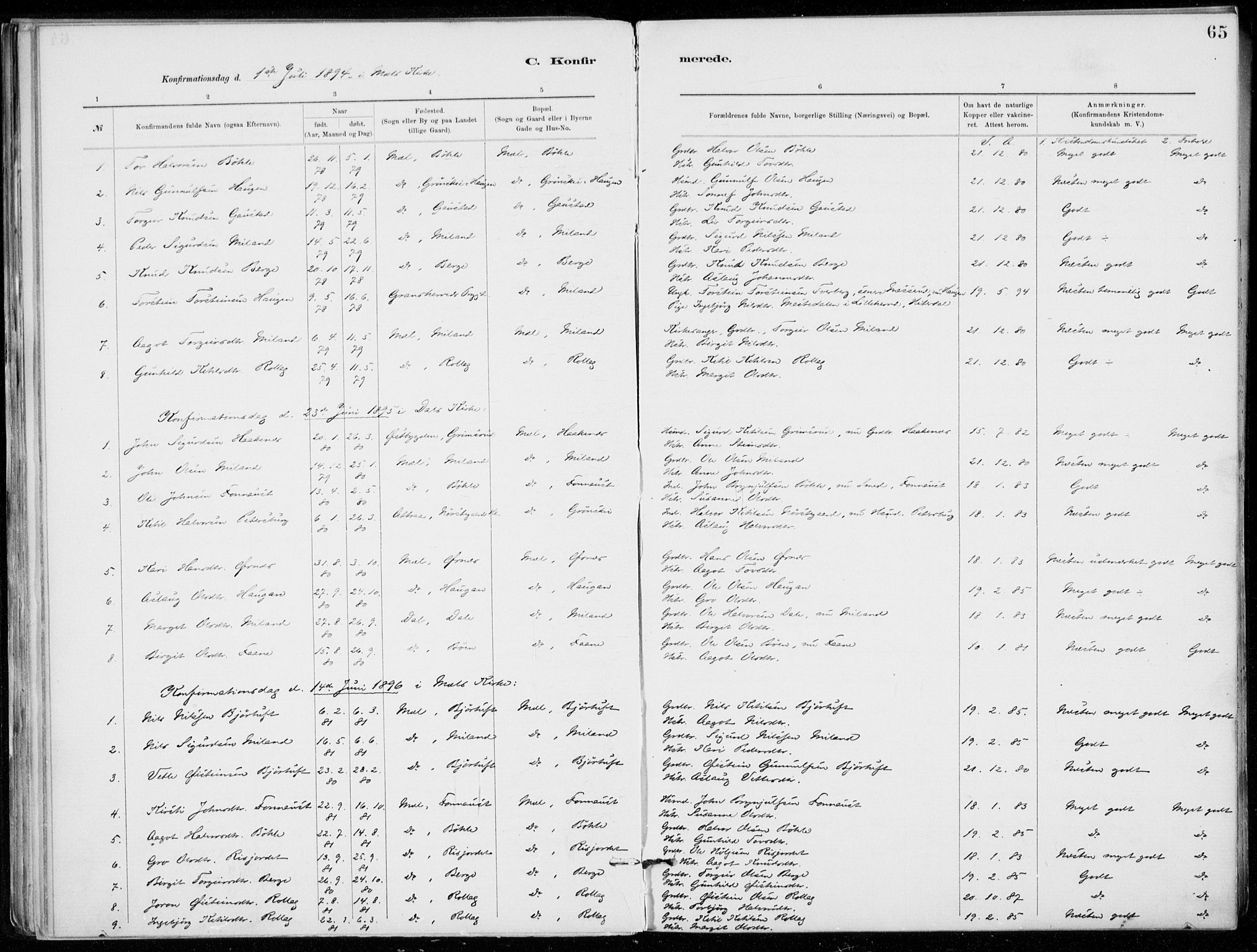 Tinn kirkebøker, SAKO/A-308/F/Fb/L0002: Parish register (official) no. II 2, 1878-1917, p. 65